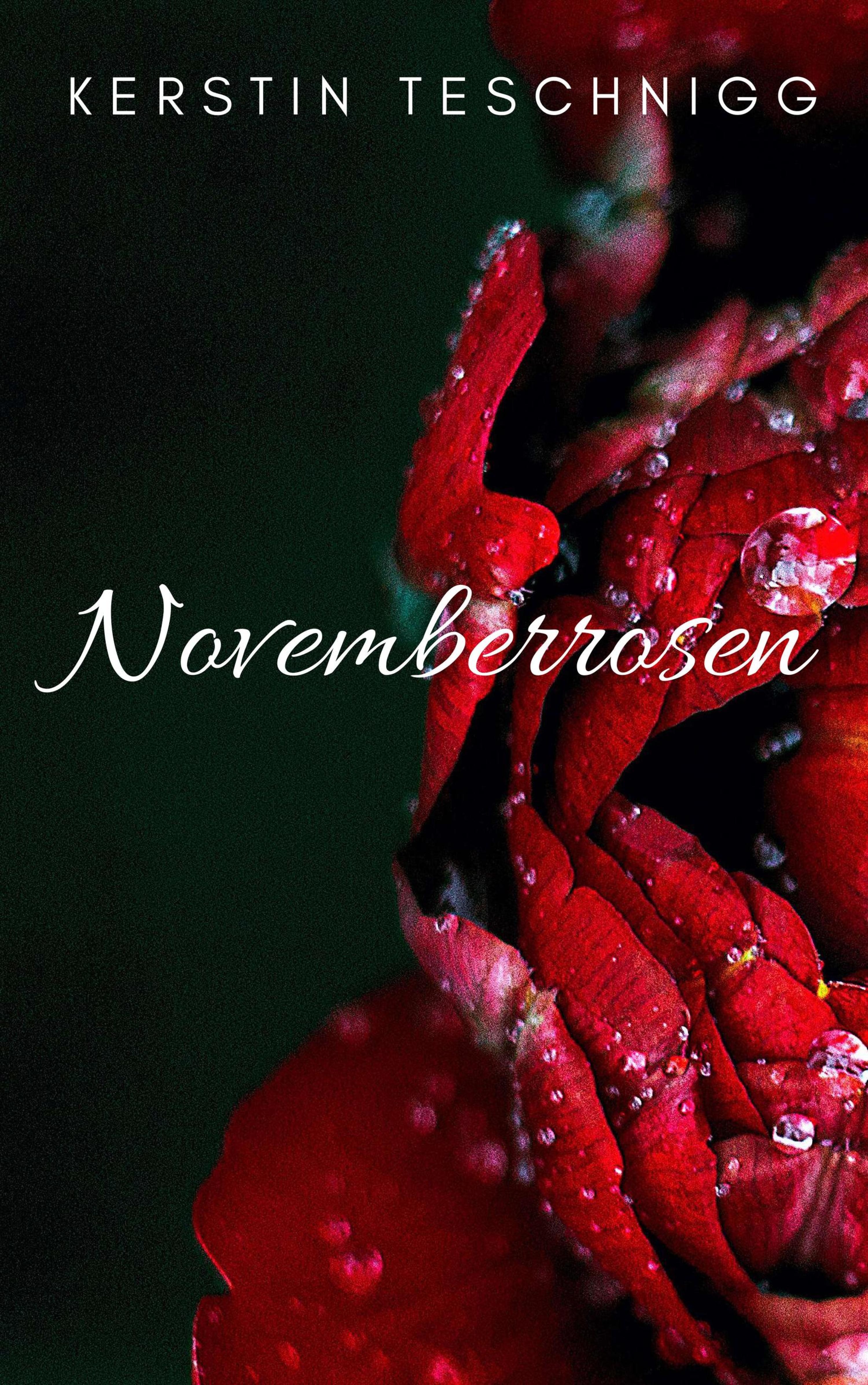 Обложка книги «Novemberrosen»