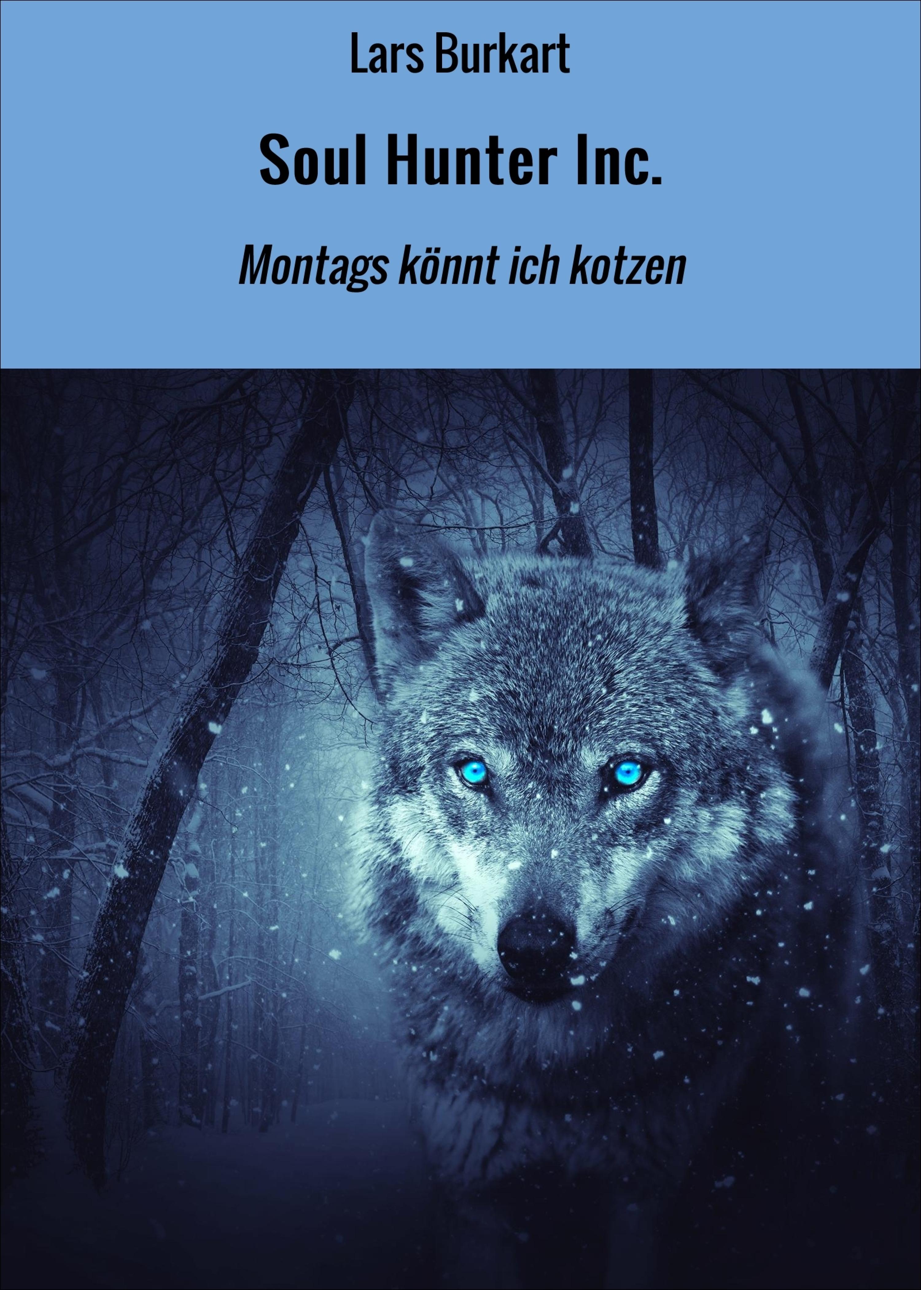 Обложка книги «Soul Hunter Inc.»