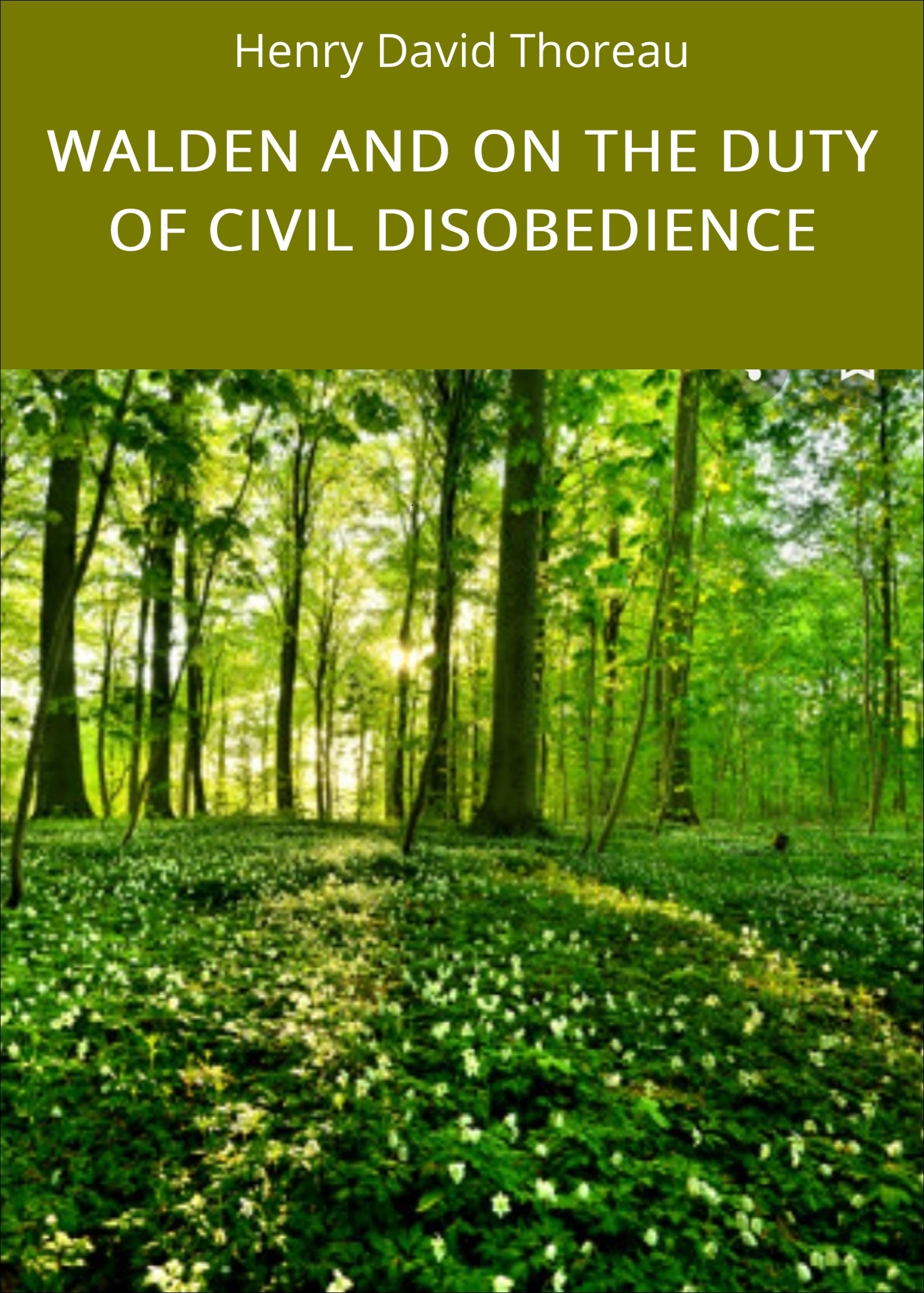 Обложка книги «WALDEN AND ON THE DUTY OF CIVIL DISOBEDIENCE»