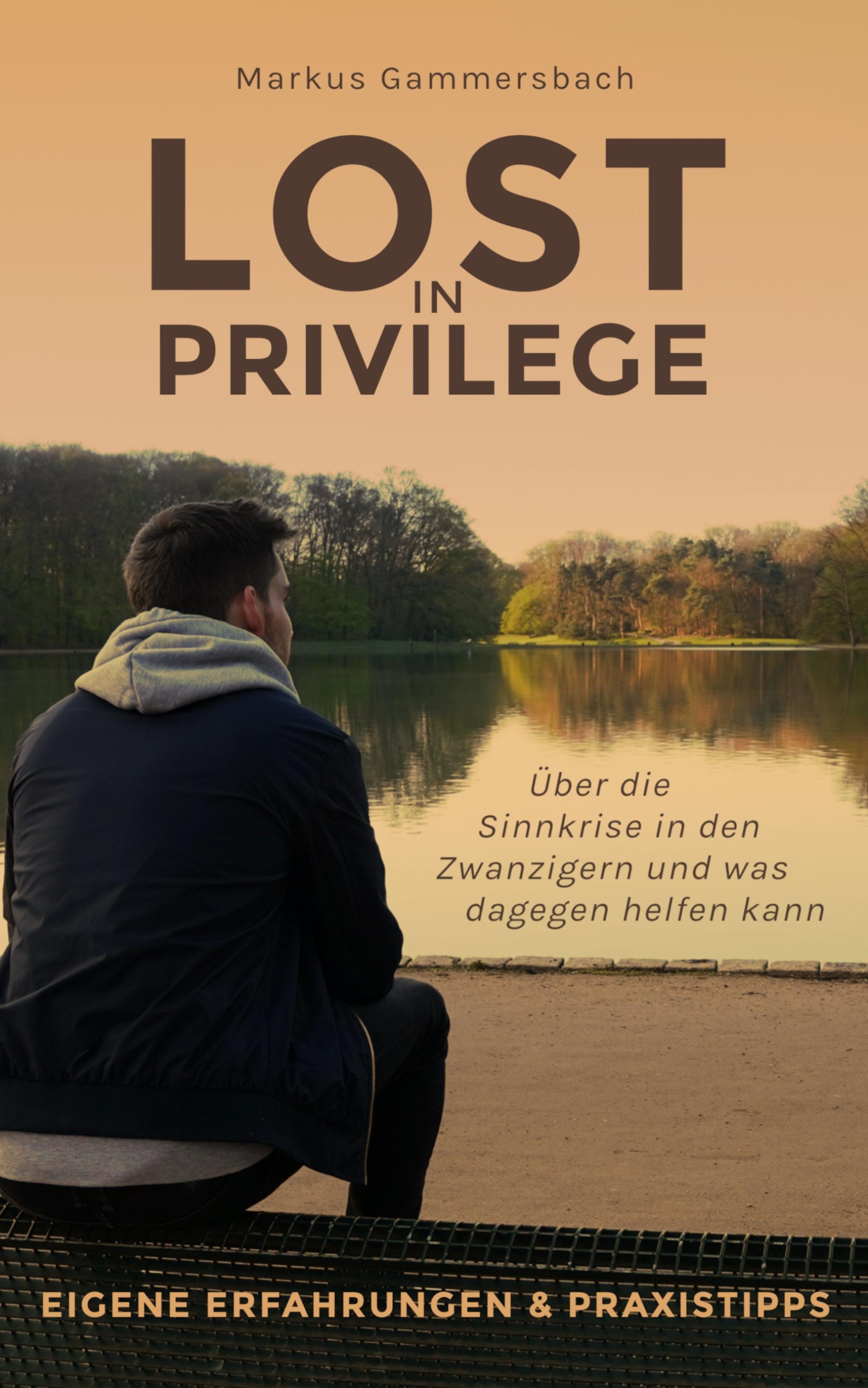 Обложка книги «Lost in Privilege»