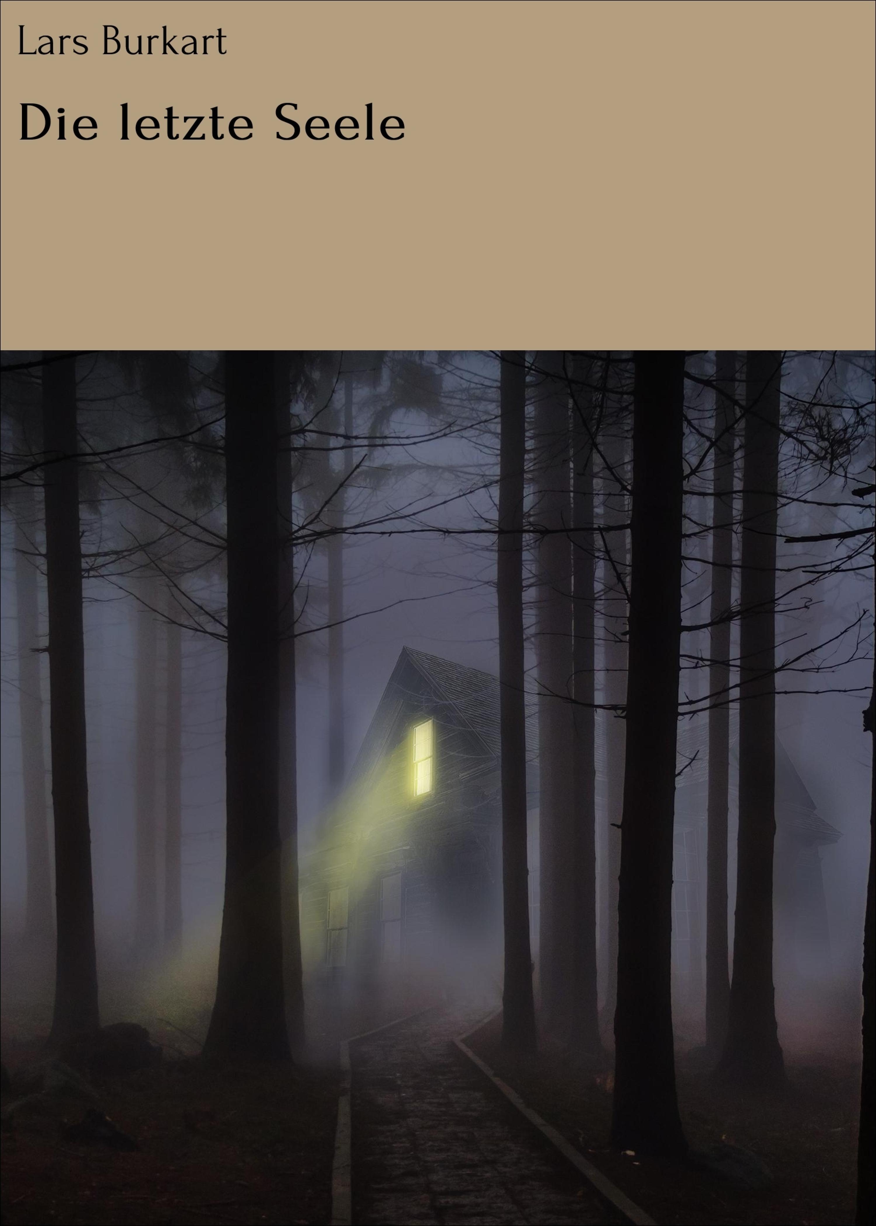 Обложка книги «Die letzte Seele»