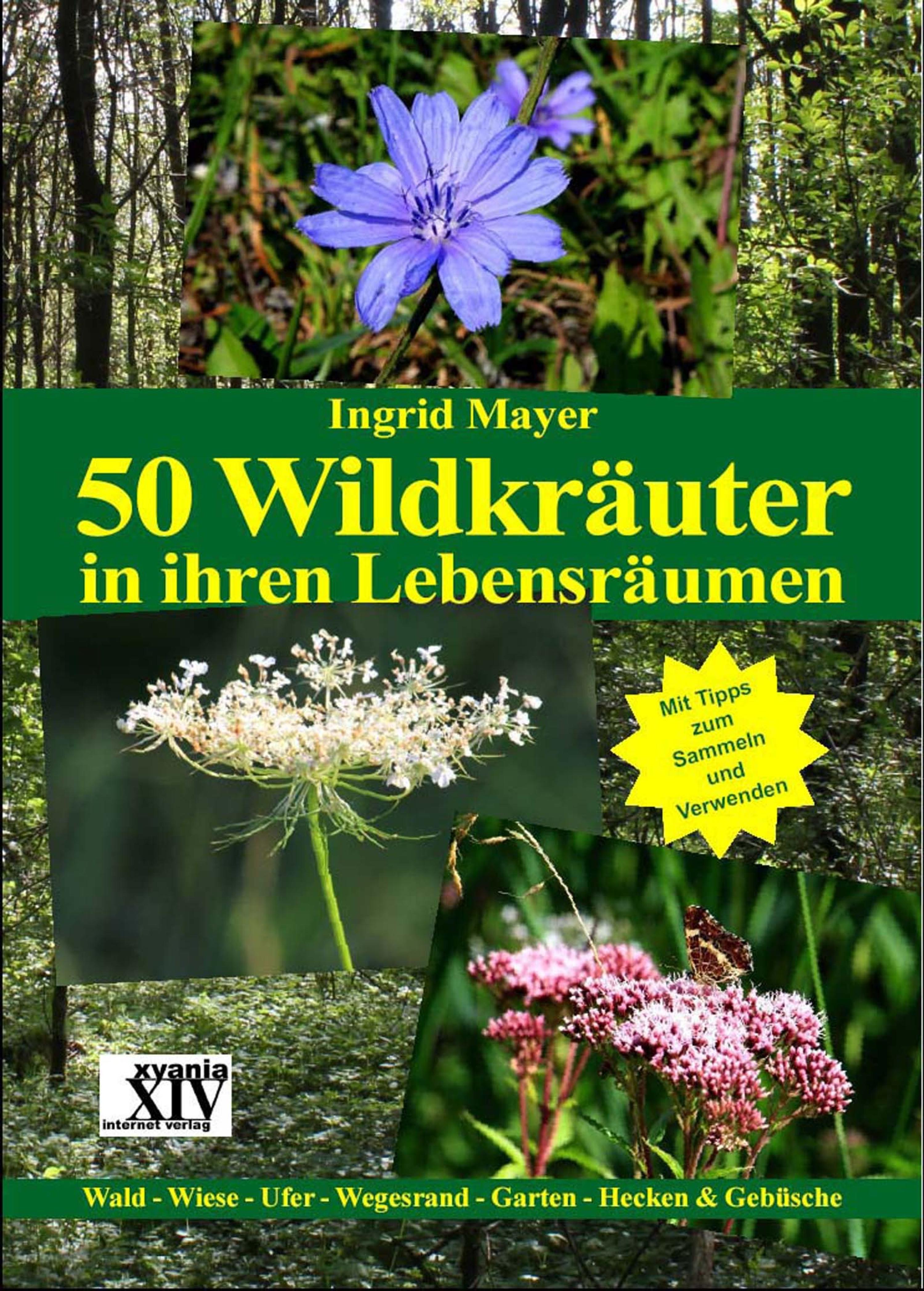 Обложка книги «50 Wildkräuter in ihren Lebensräumen»