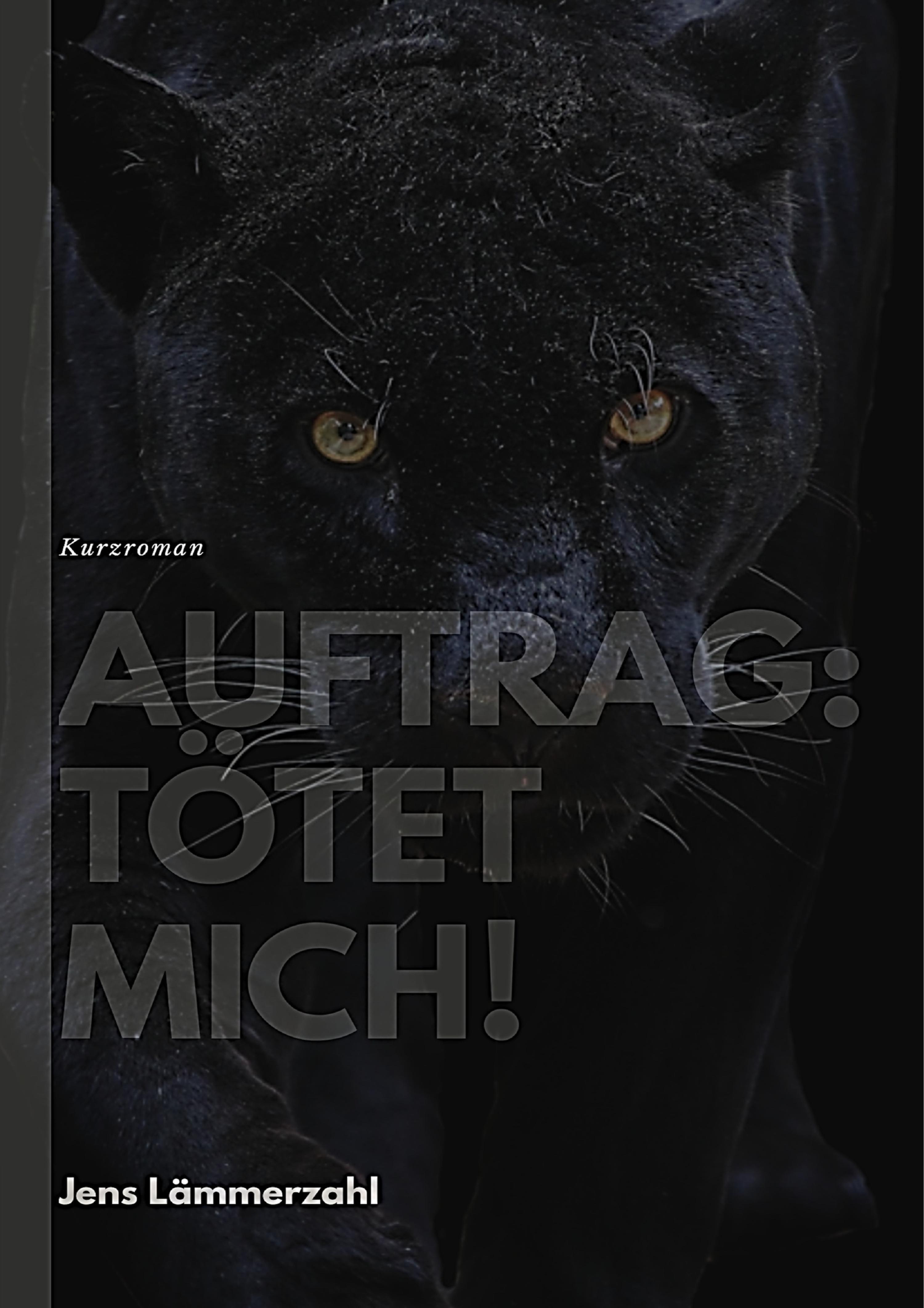 Обложка книги «Auftrag: Tötet mich»
