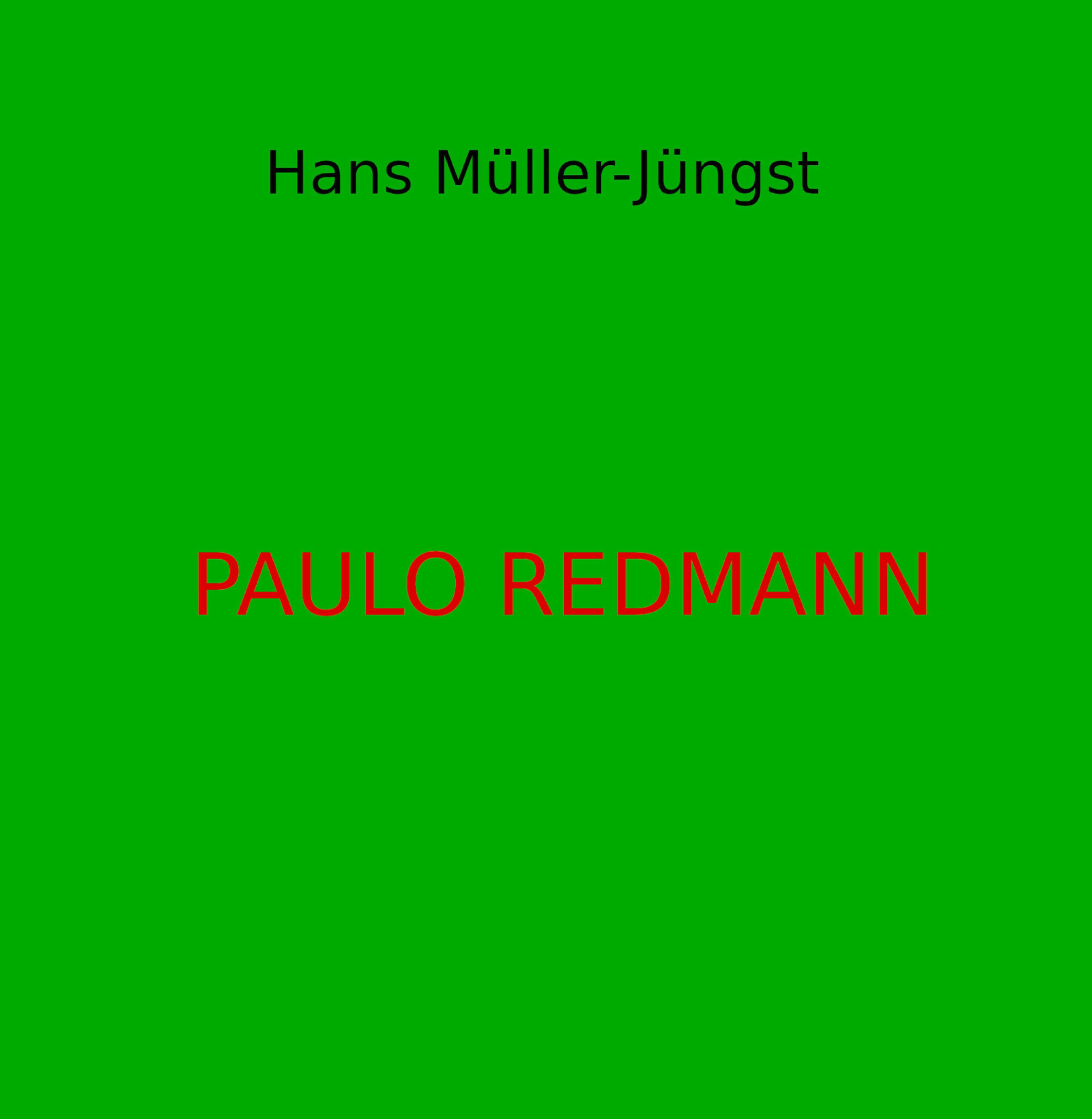 Обложка книги «Paulo Redmann»