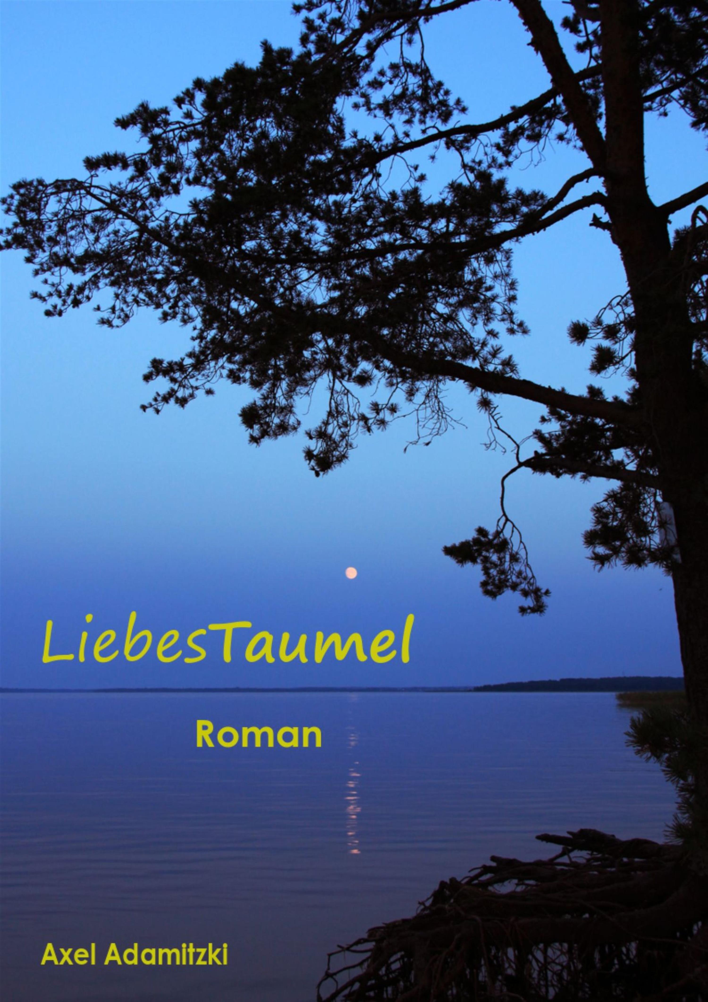 Обложка книги «LiebesTaumel»
