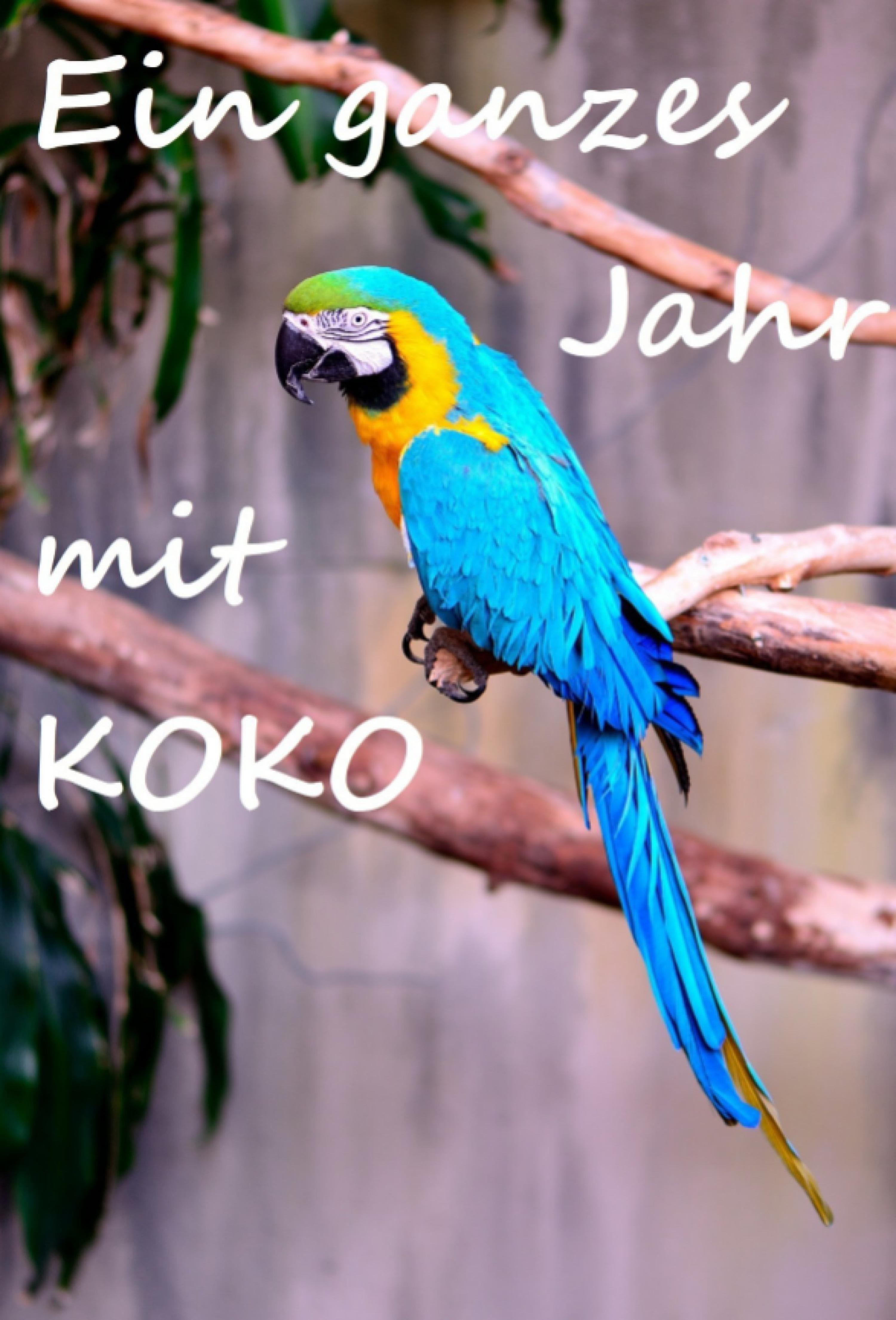 Обложка книги «Ein ganzes Jahr mit Koko»