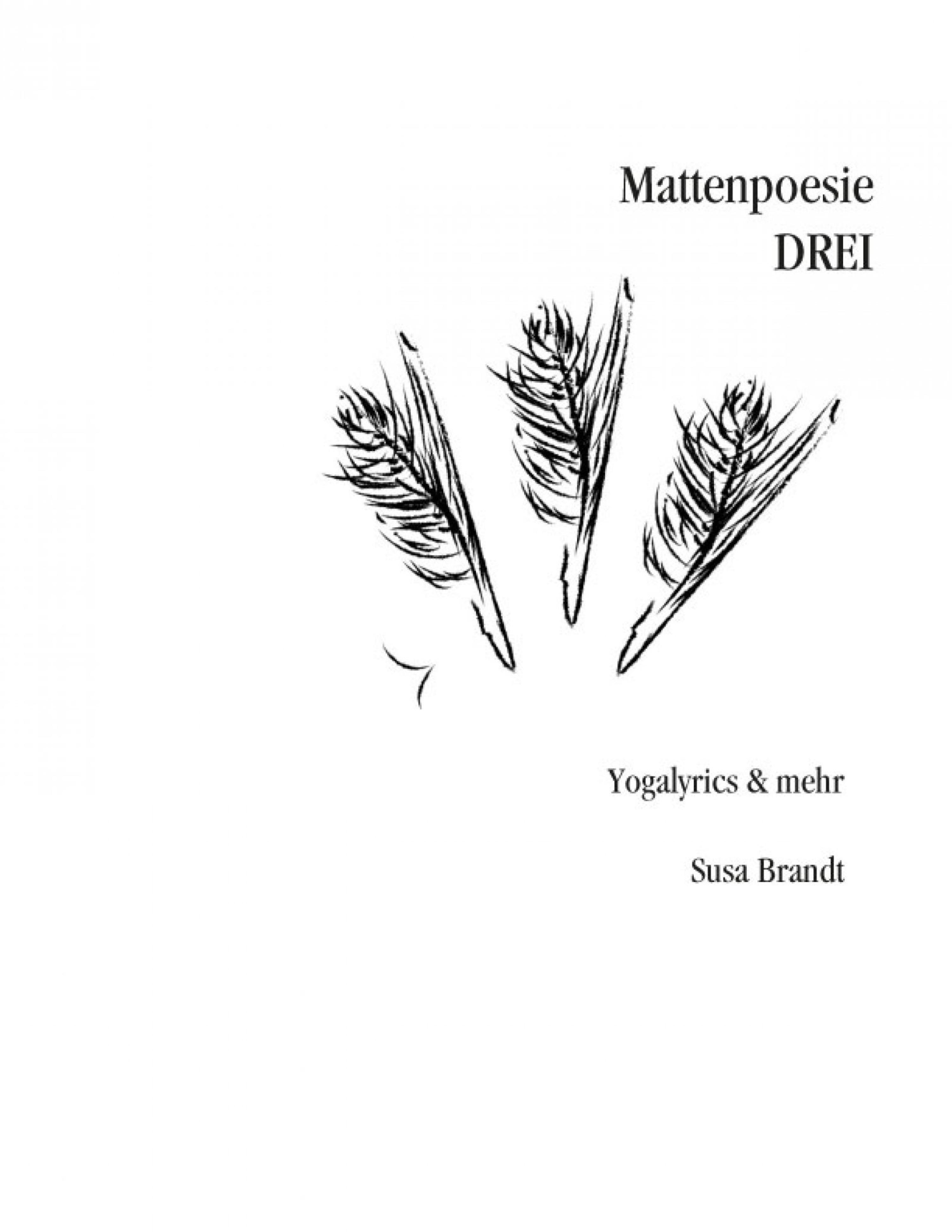 Обложка книги «Mattenpoesie drei»
