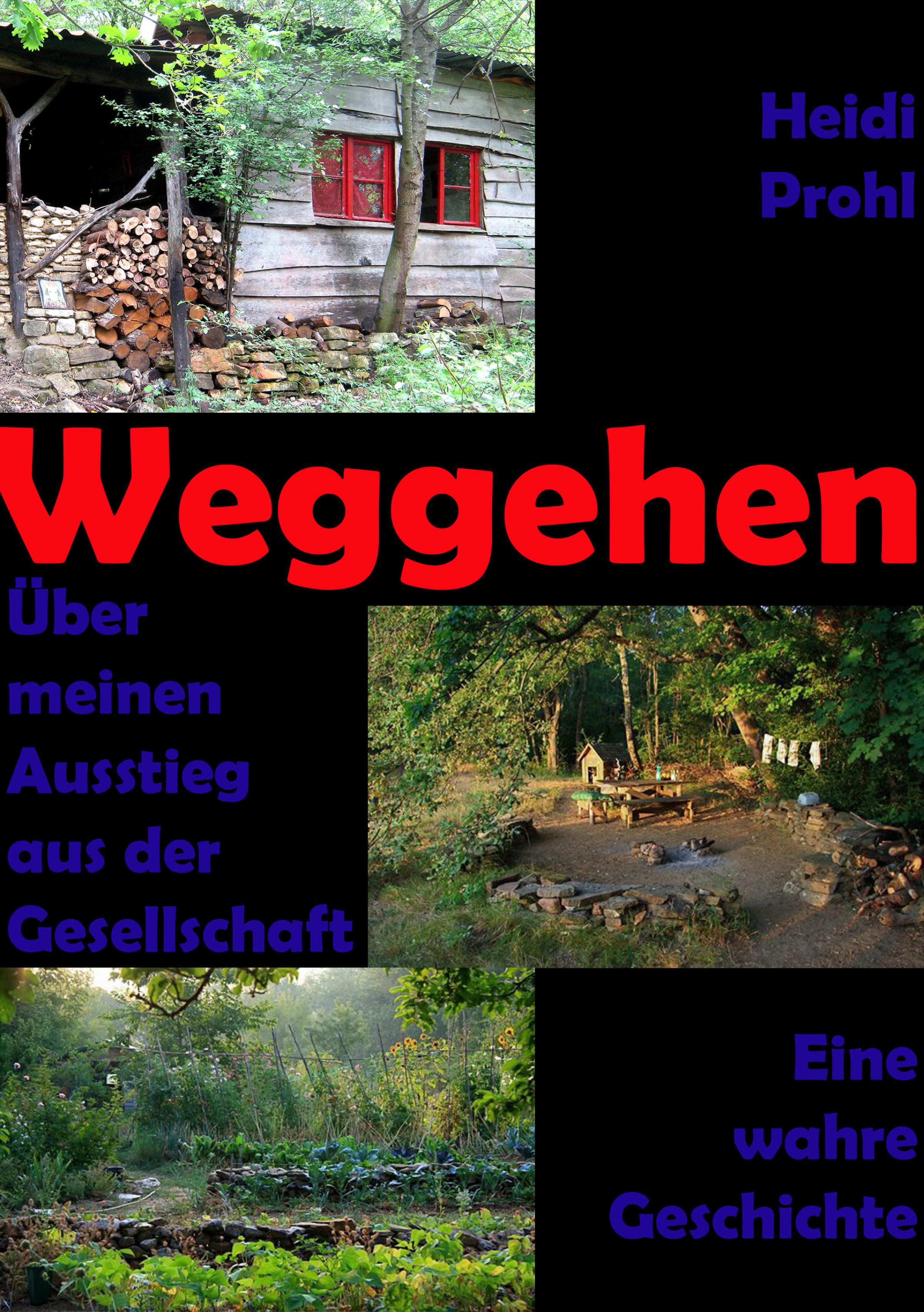 Обложка книги «Weggehen»