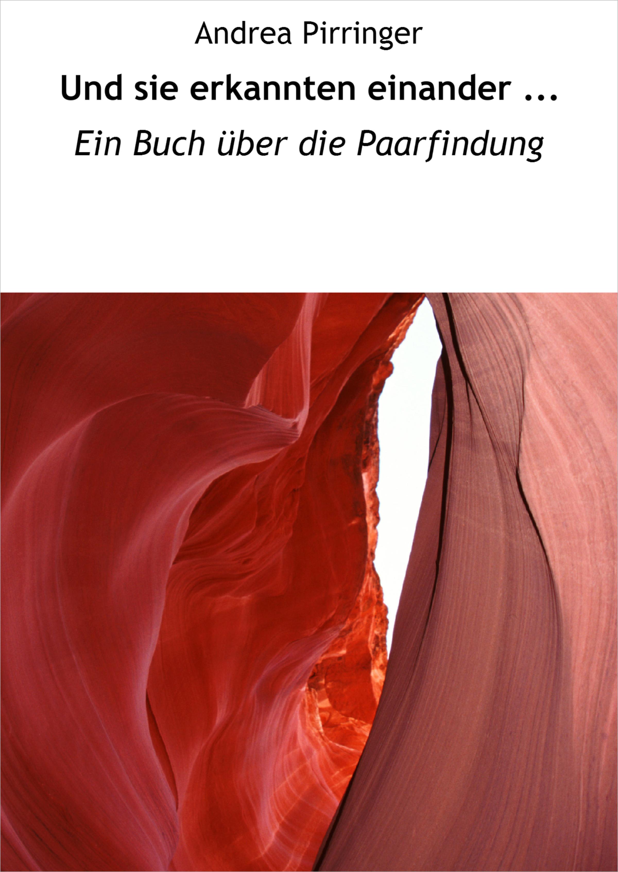 Обложка книги «Und sie erkannten einander ...»