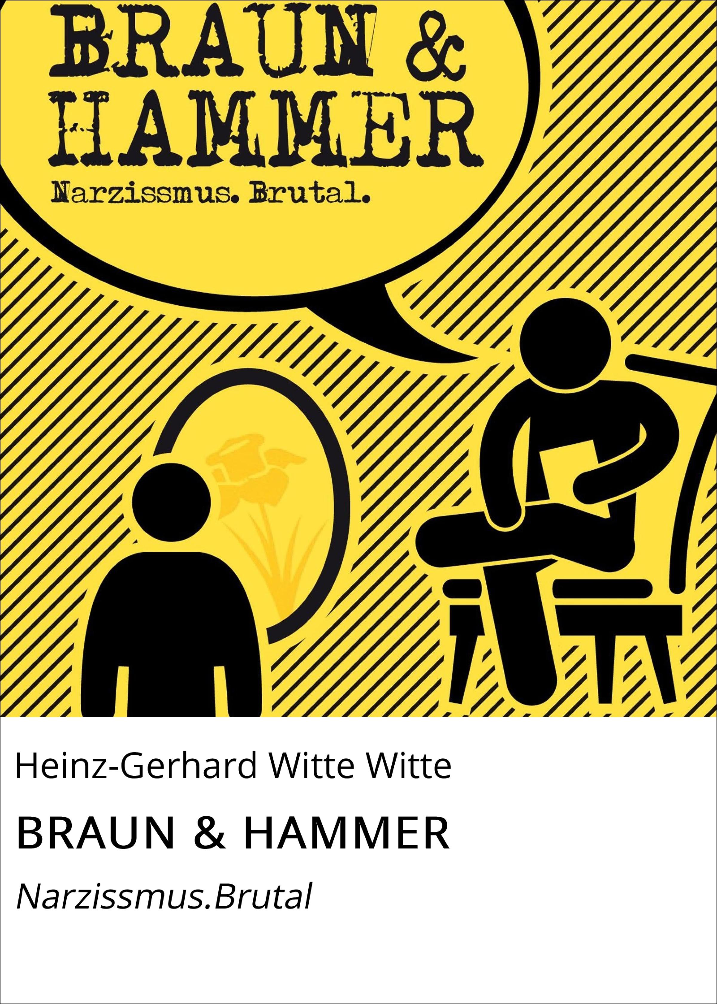 Обложка книги «BRAUN & HAMMER»