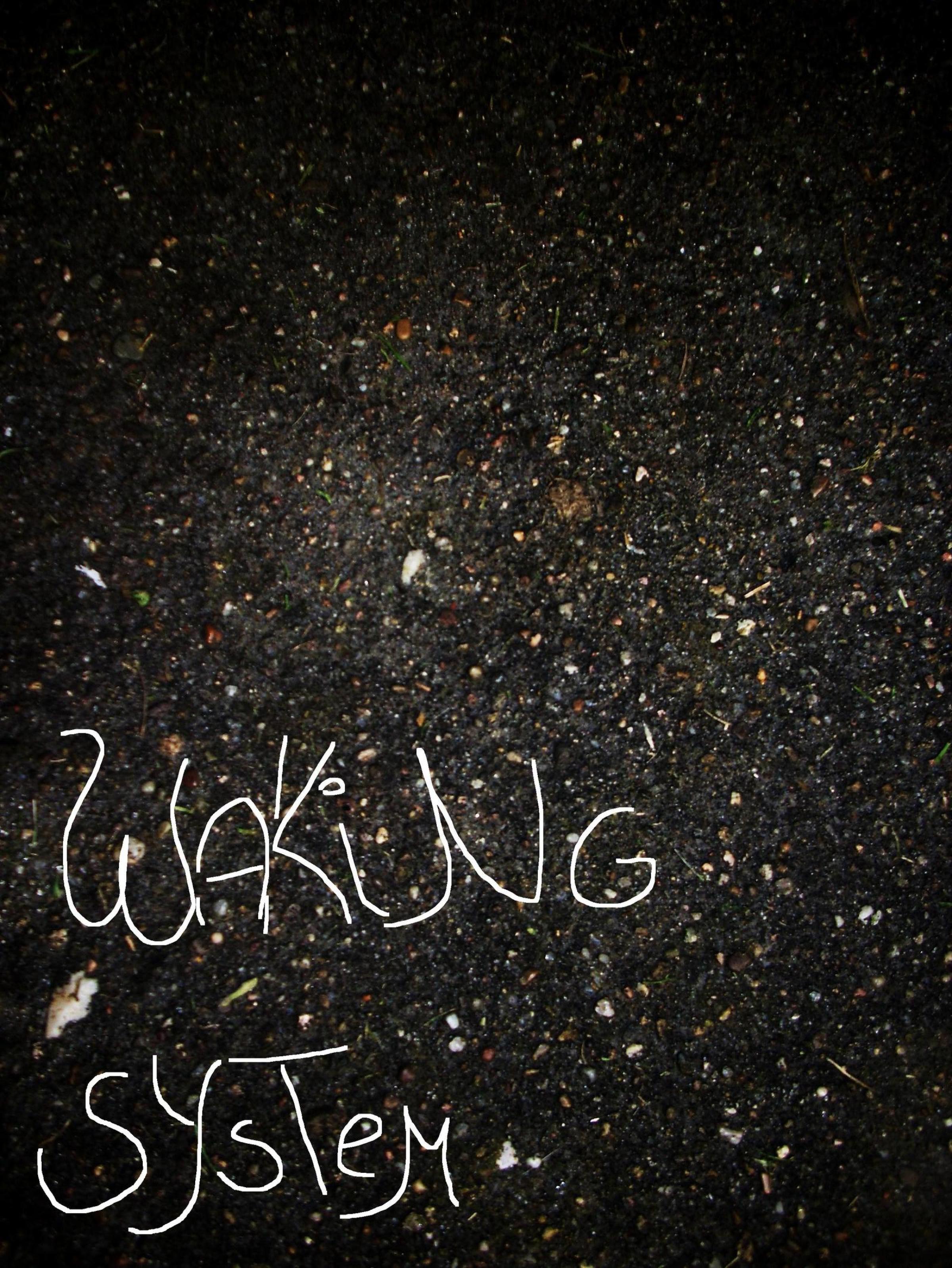 Обложка книги «Waking System»
