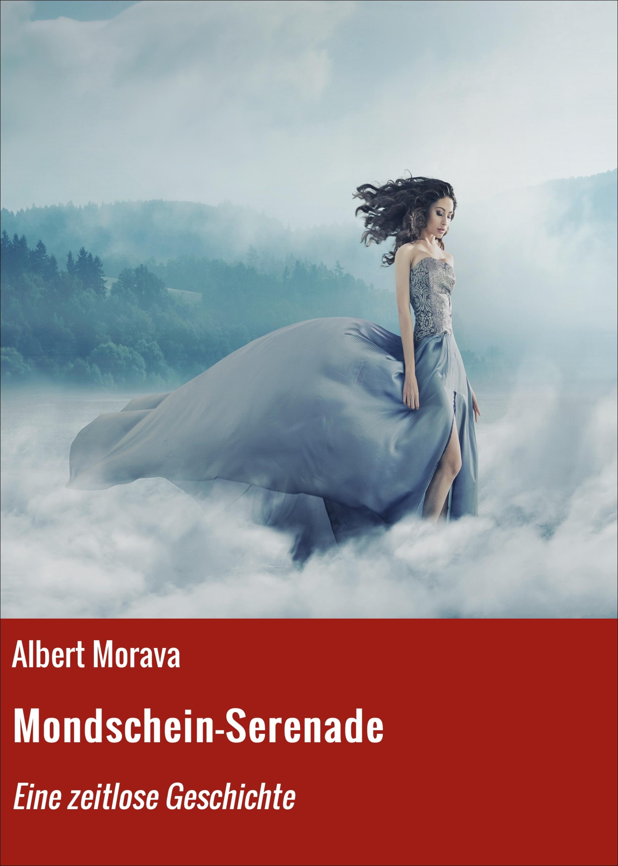 Обложка книги «Mondschein-Serenade»