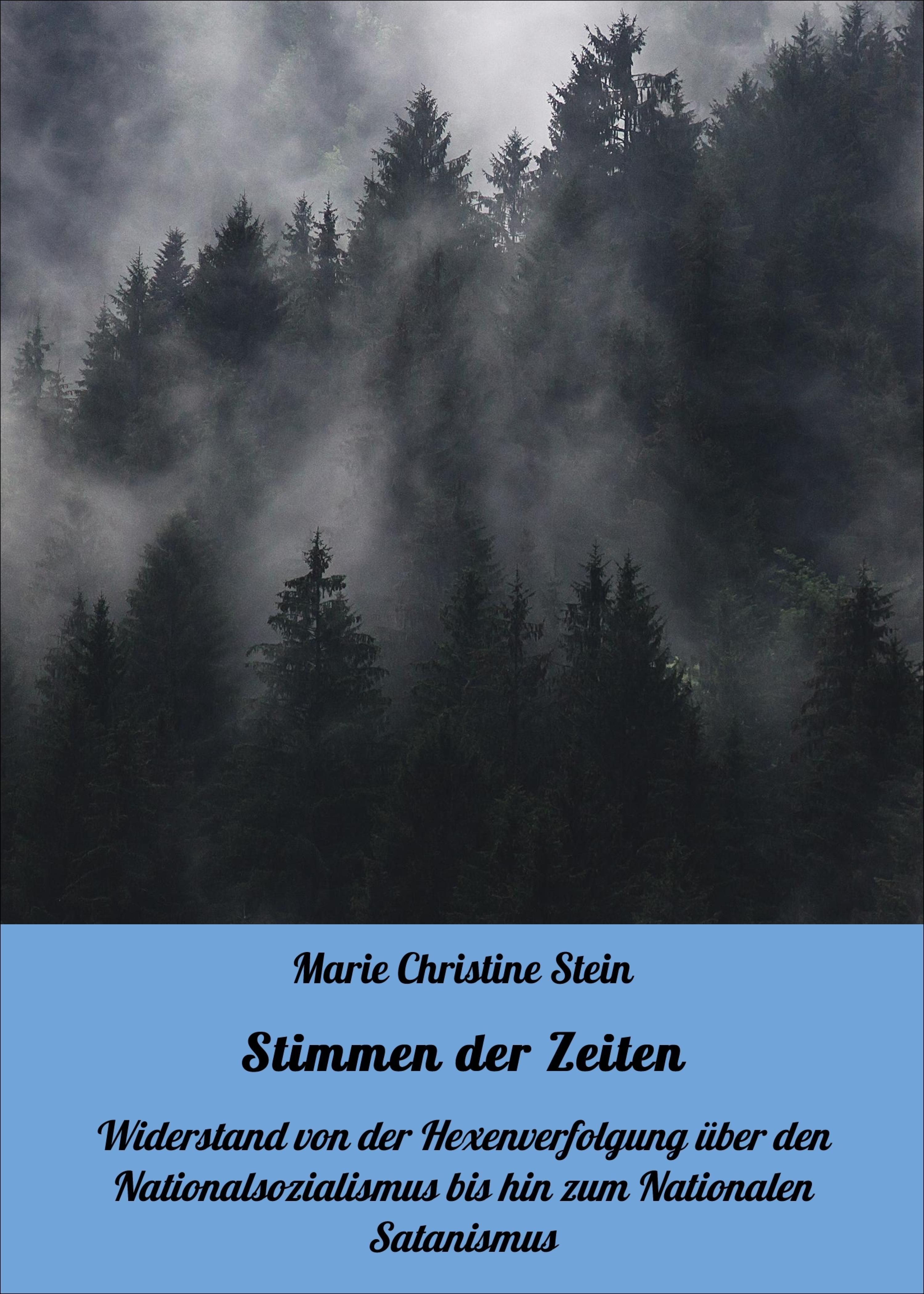 Обложка книги «Stimmen der Zeiten»