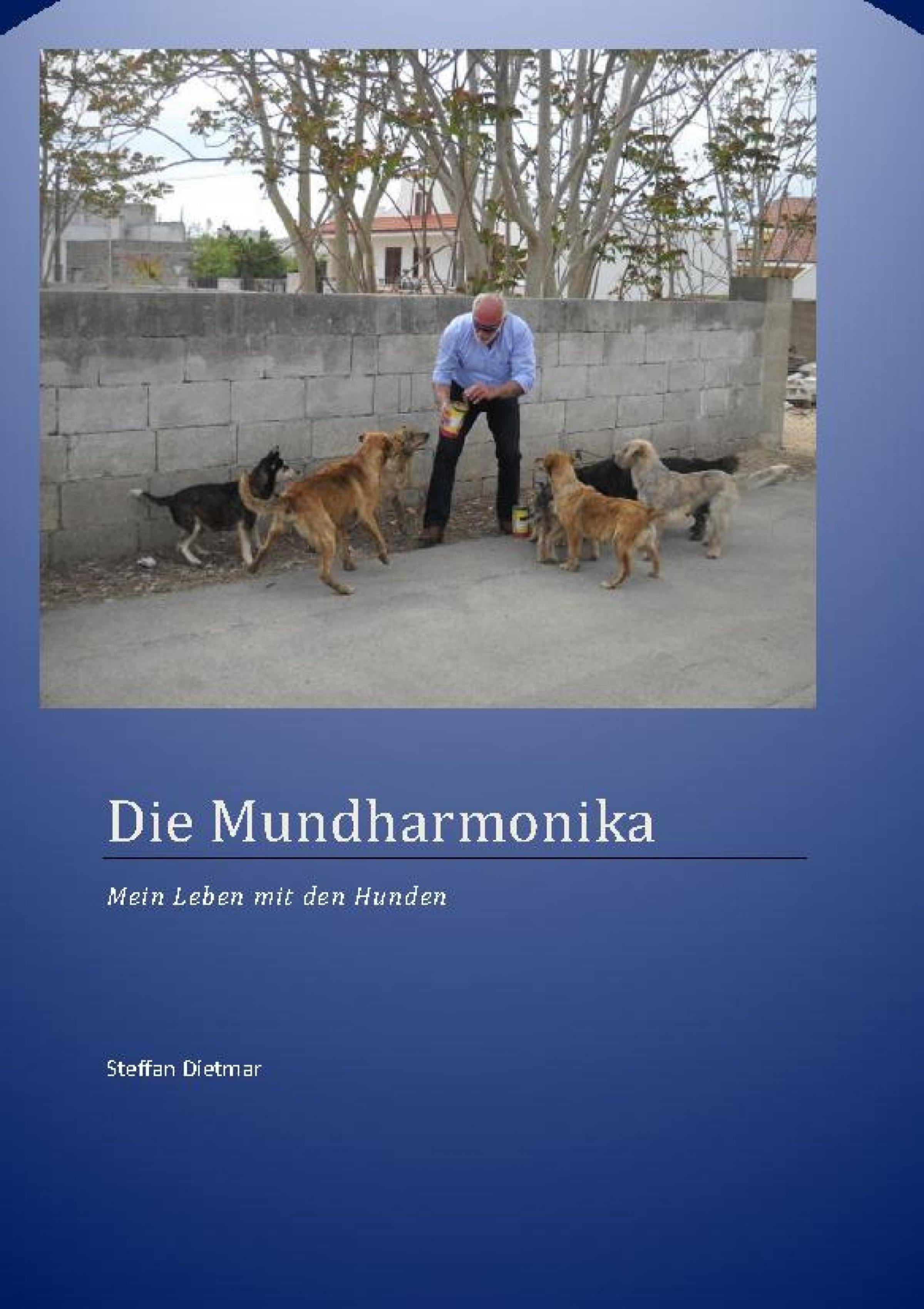 Обложка книги «Die Mundharmonika»