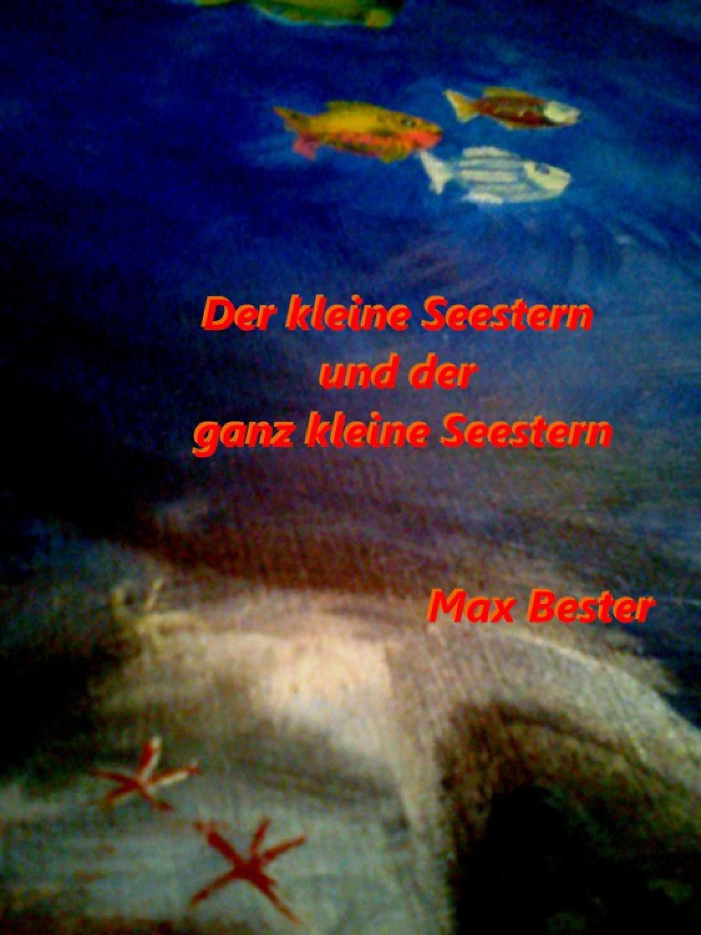 Обложка книги «Der kleine Seestern und der ganz kleine Seestern»