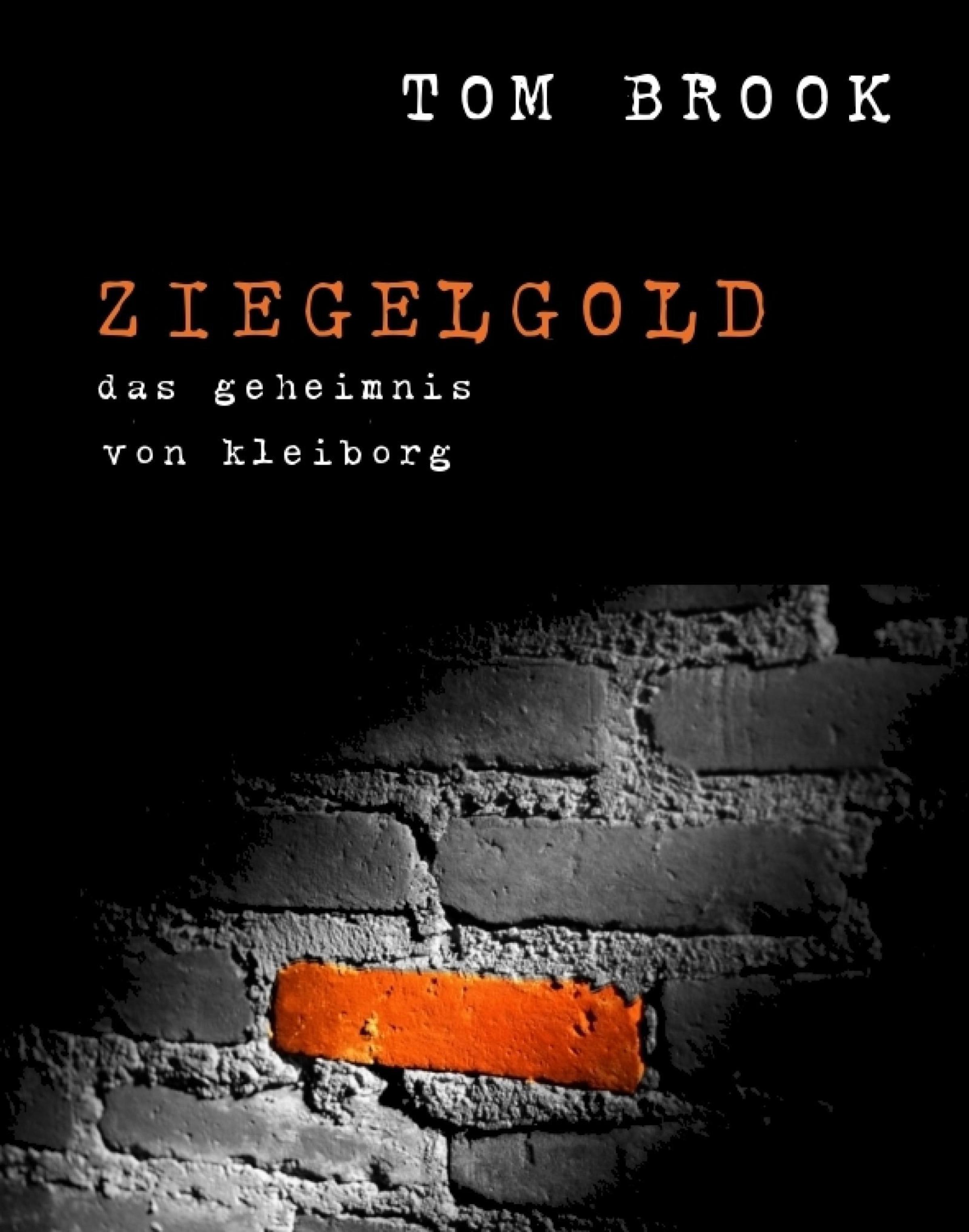 Обложка книги «Ziegelgold»