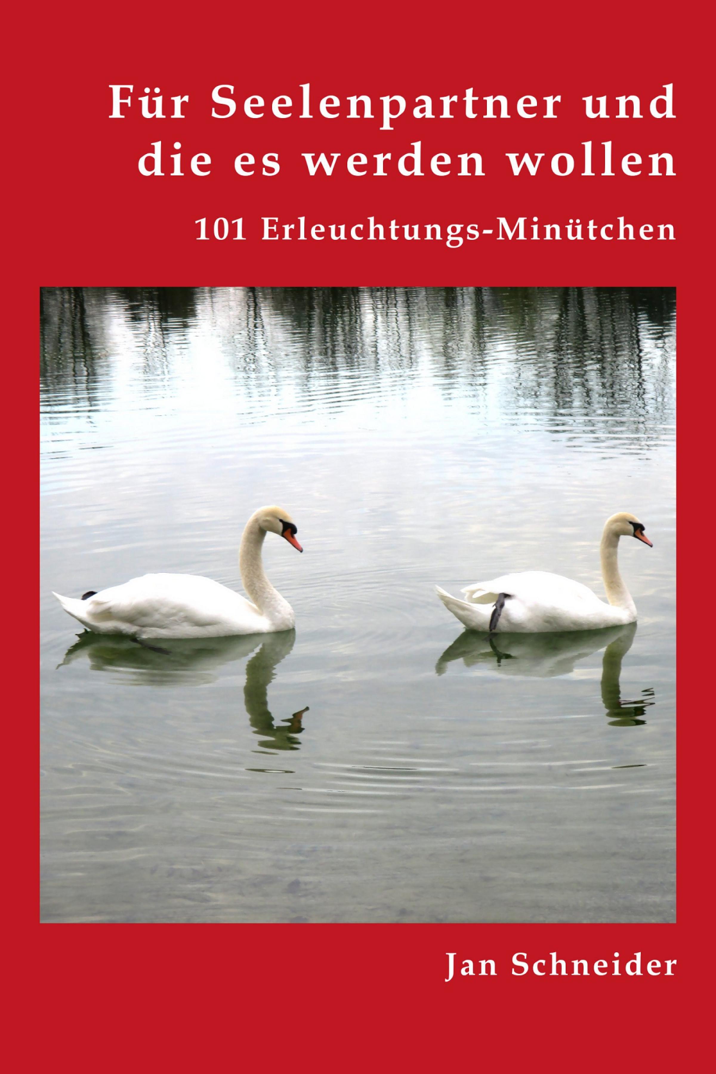 Обложка книги «Für Seelenpartner und die es werden wollen»