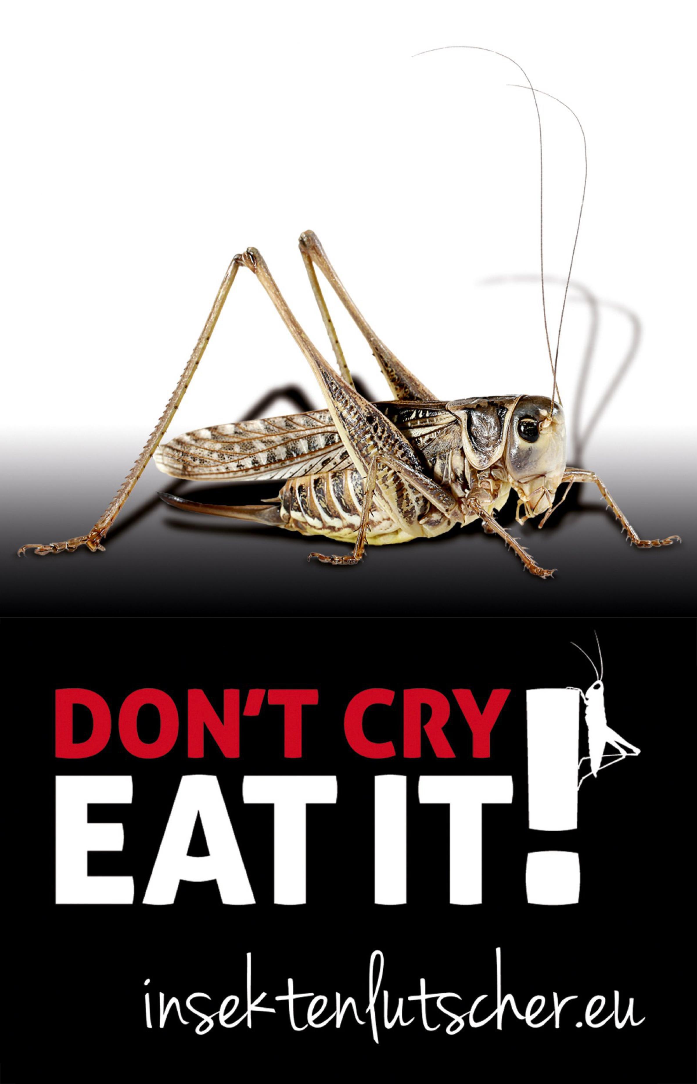 Обложка книги «Don't cry. Eat it!»