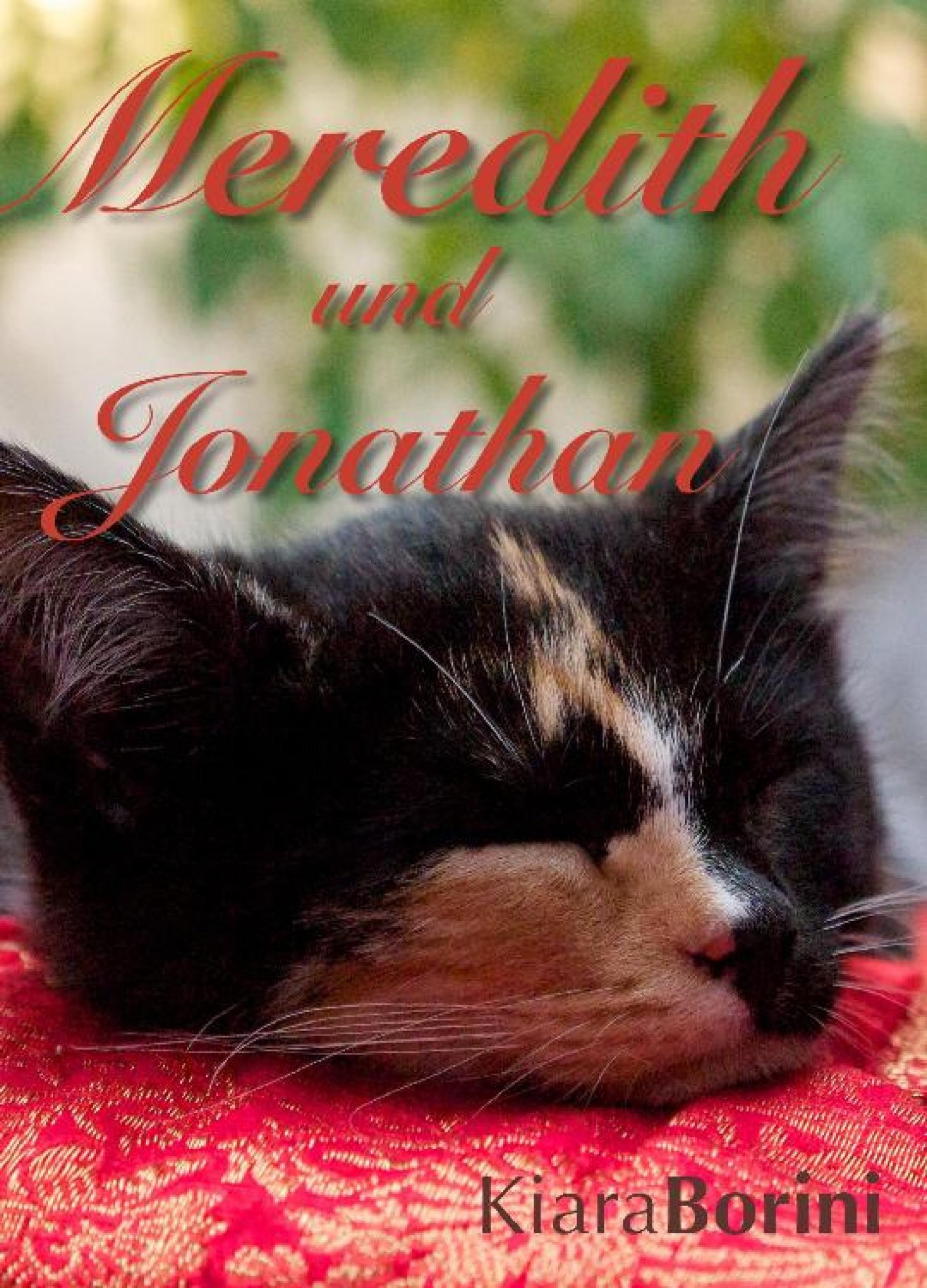 Обложка книги «Meredith und Jonathan»
