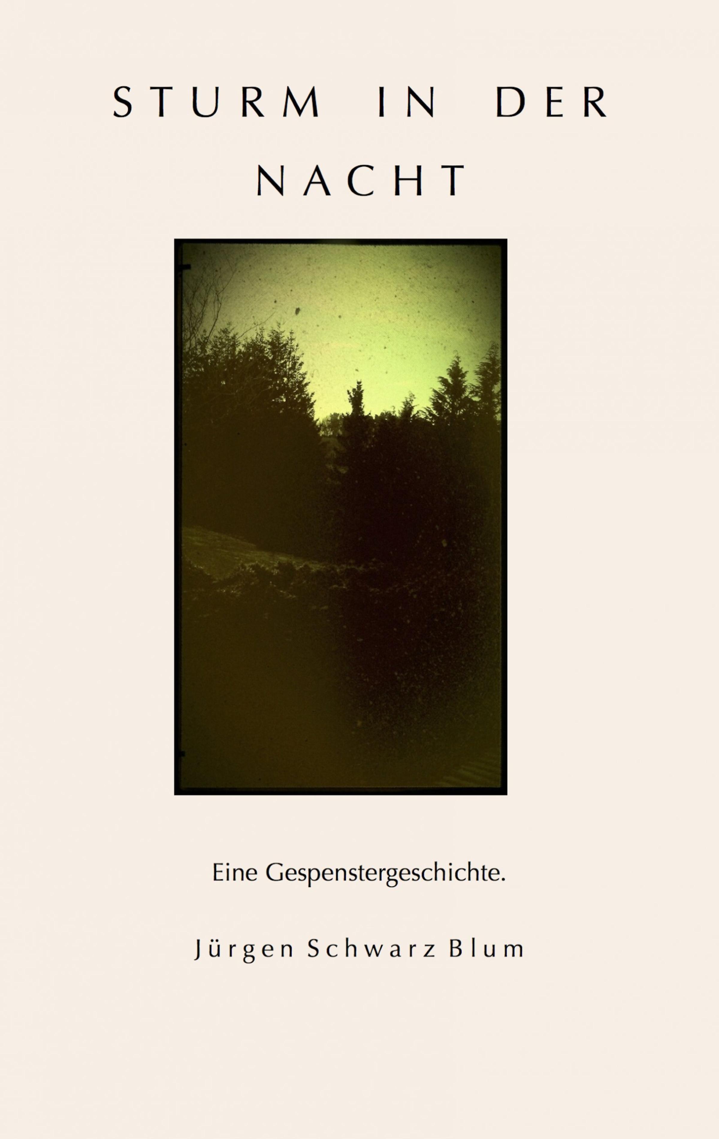 Обложка книги «Sturm in der Nacht»