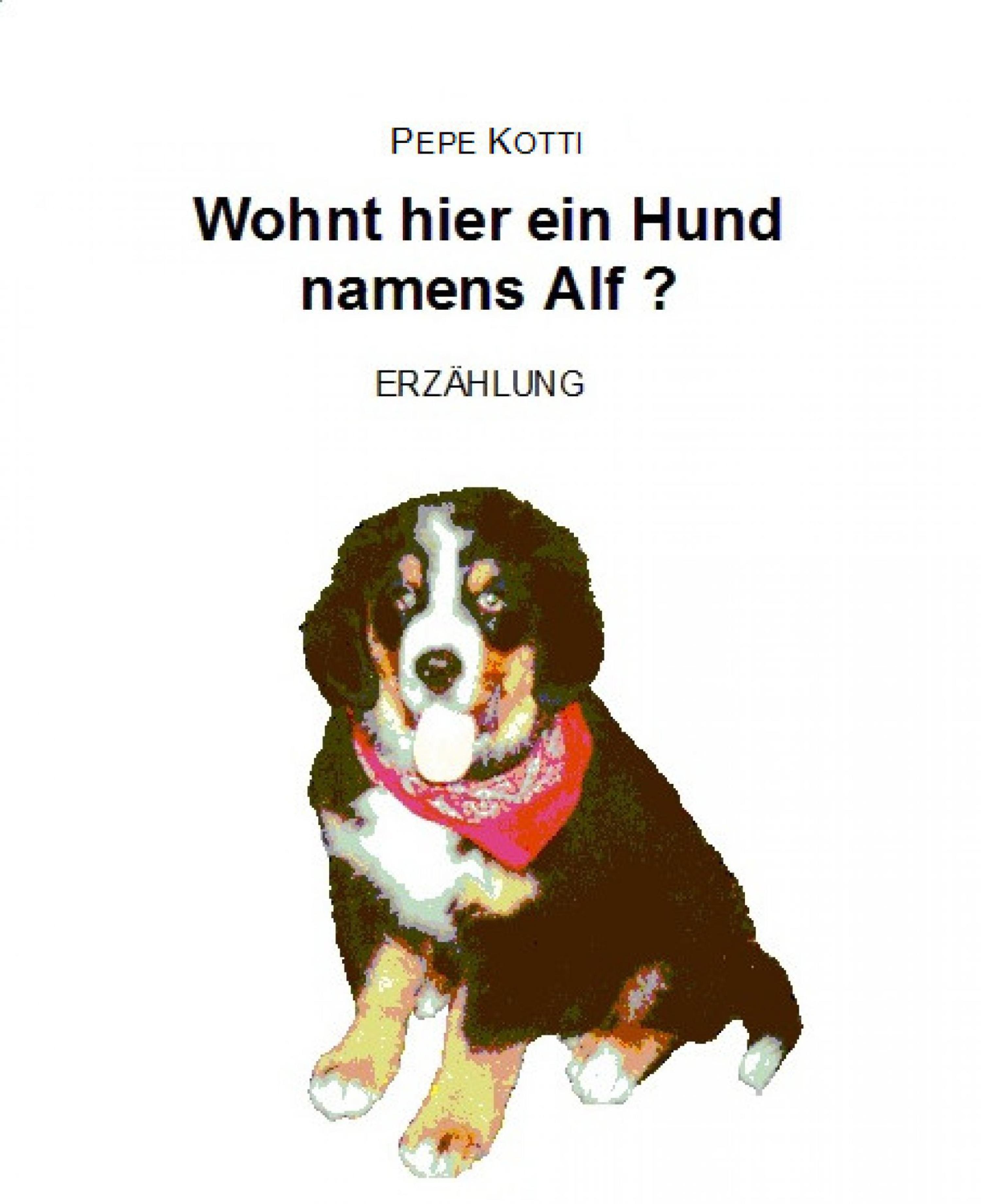 Обложка книги «Wohnt hier ein Hund namens Alf?»