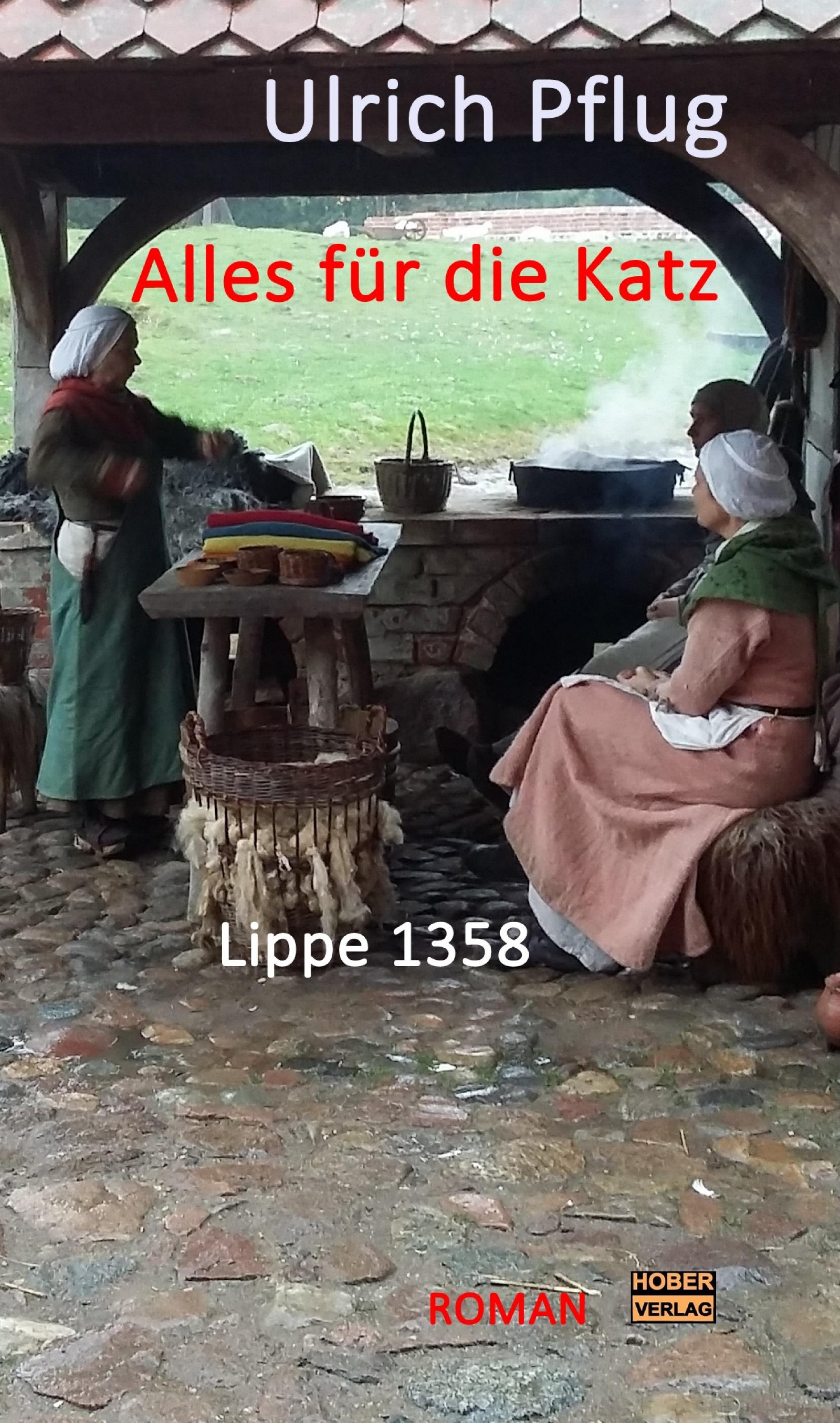 Обложка книги «Alles für die Katz - Lippe 1358»