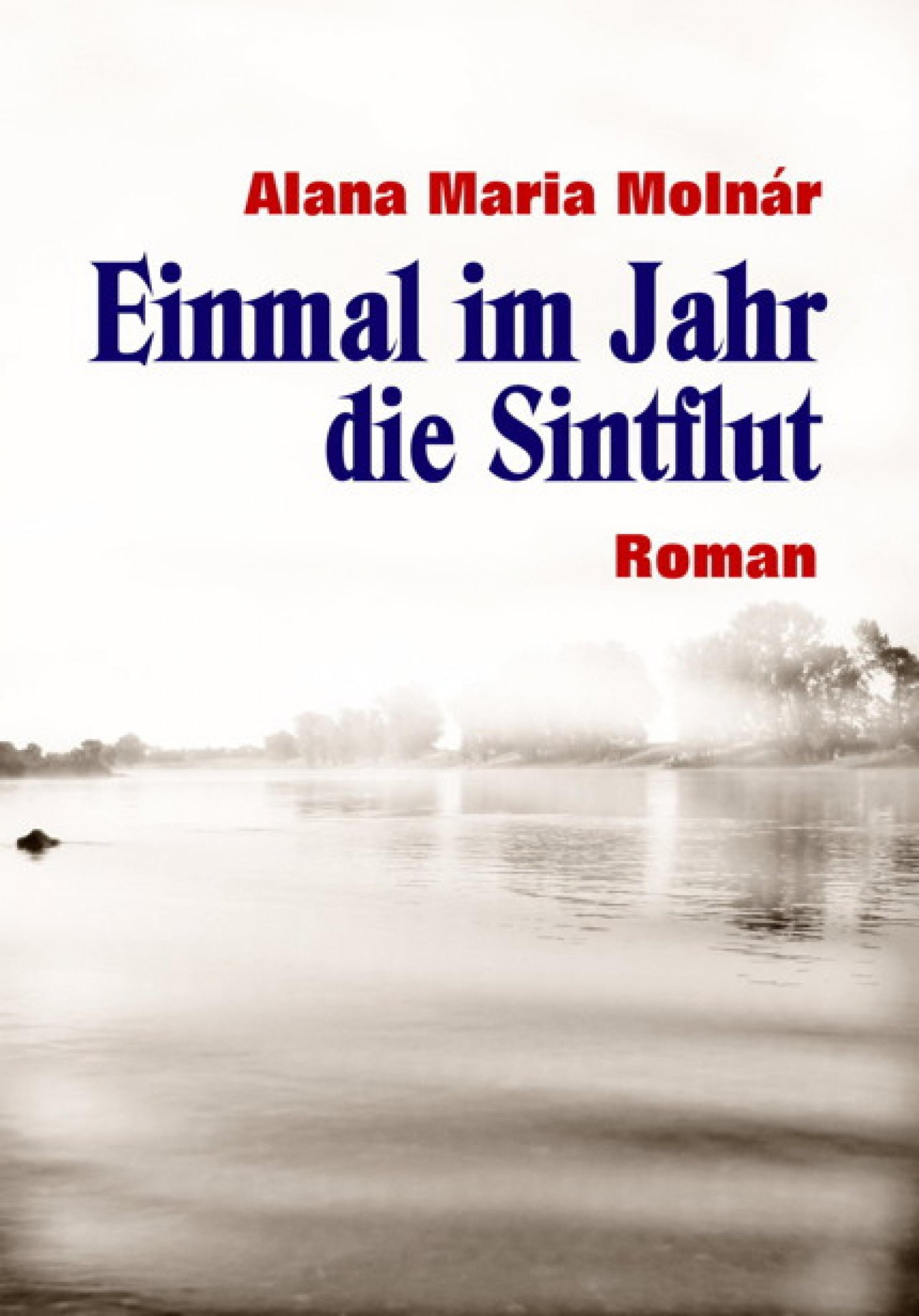 Обложка книги «Einmal im Jahr die Sintflut ebook»