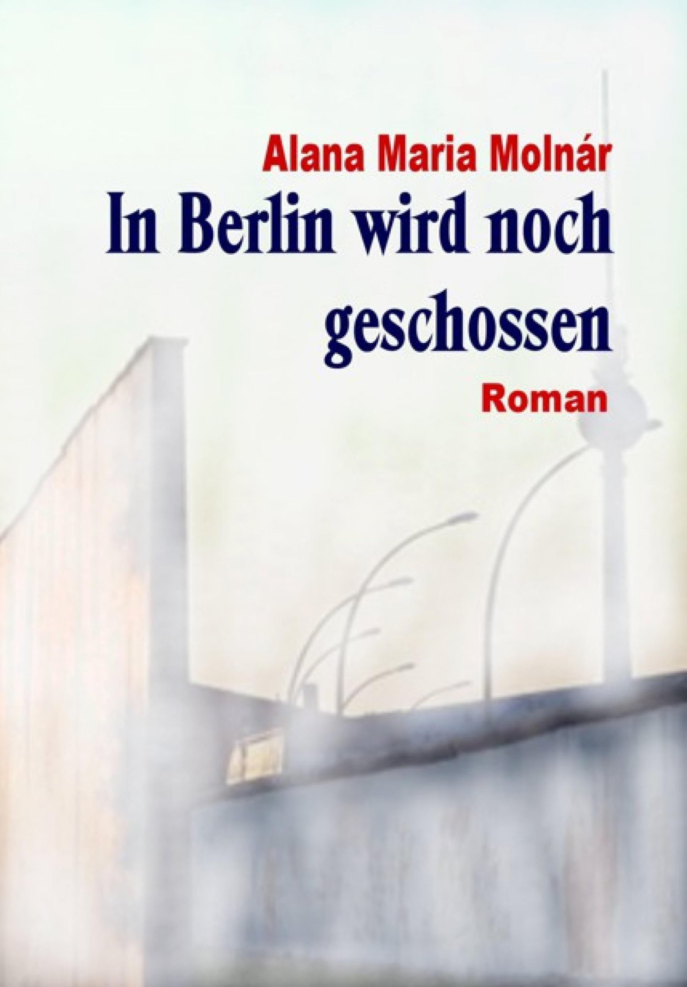 Обложка книги «In Berlin wird noch geschossen e-book»