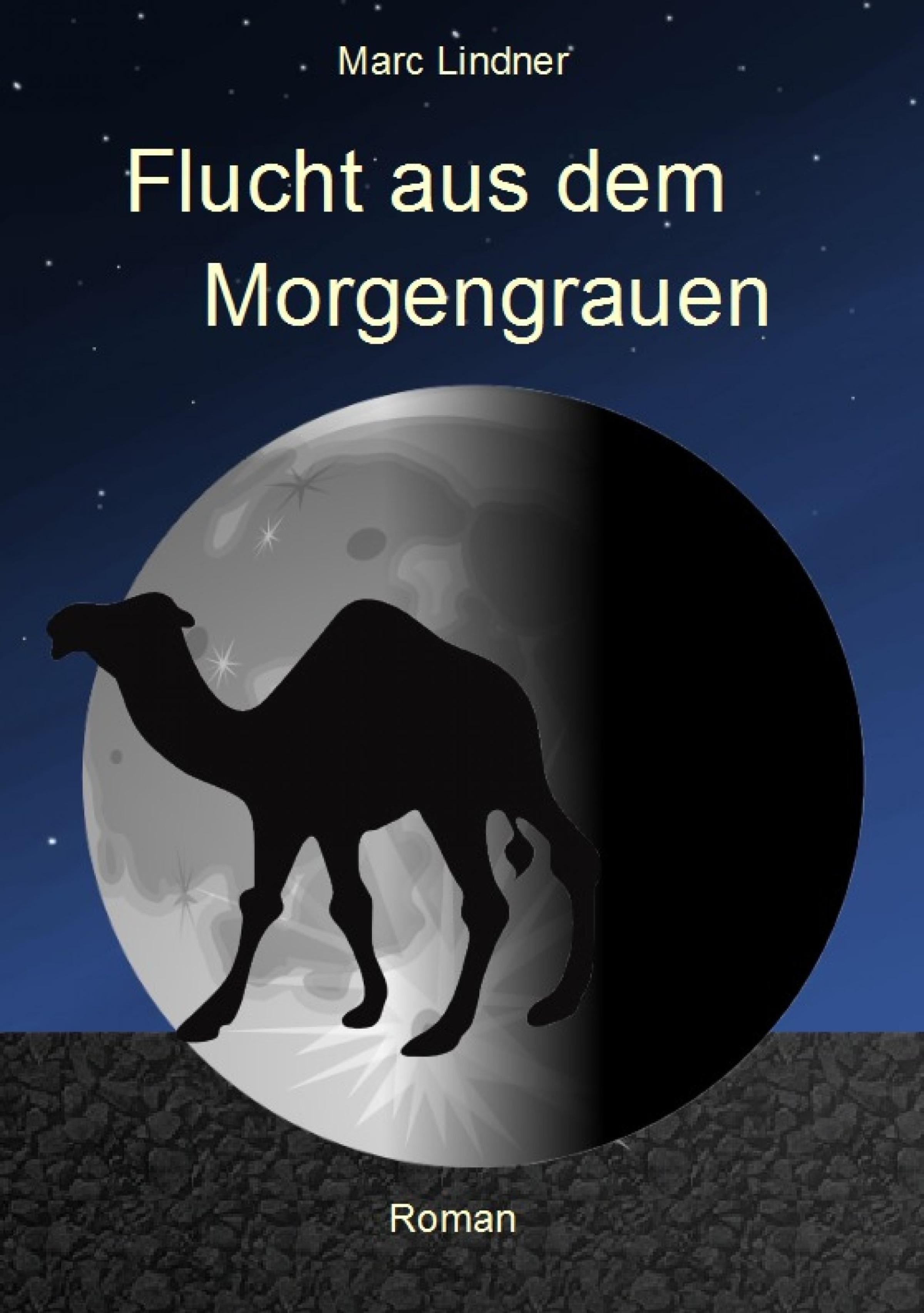 Обложка книги «Flucht aus dem Morgengrauen»