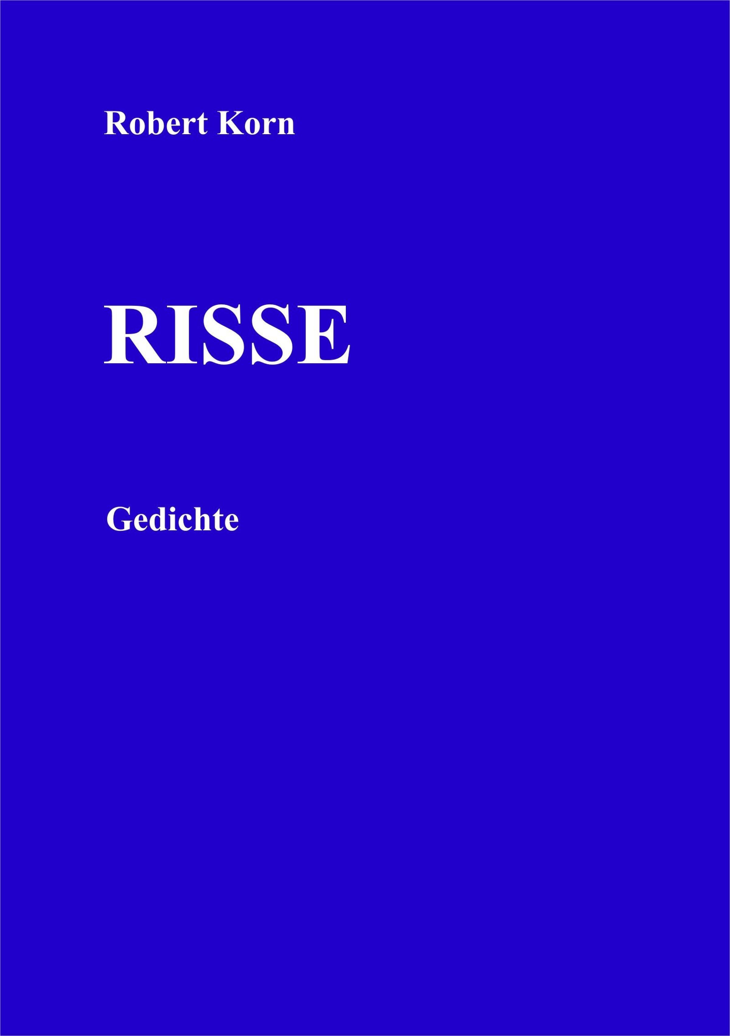 Обложка книги «Risse»