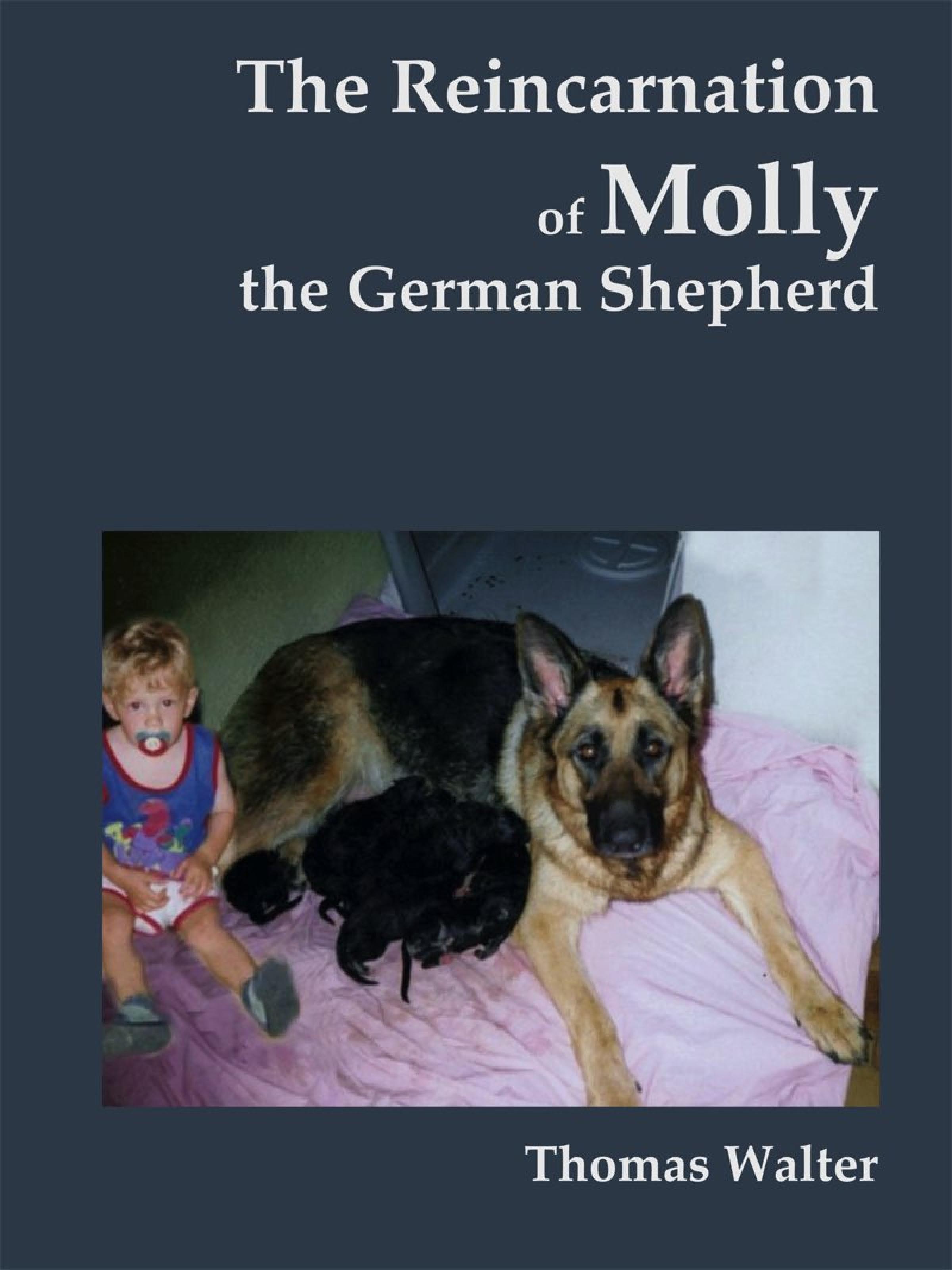 Обложка книги «The reincarnation of Molly, the German Shepherd»