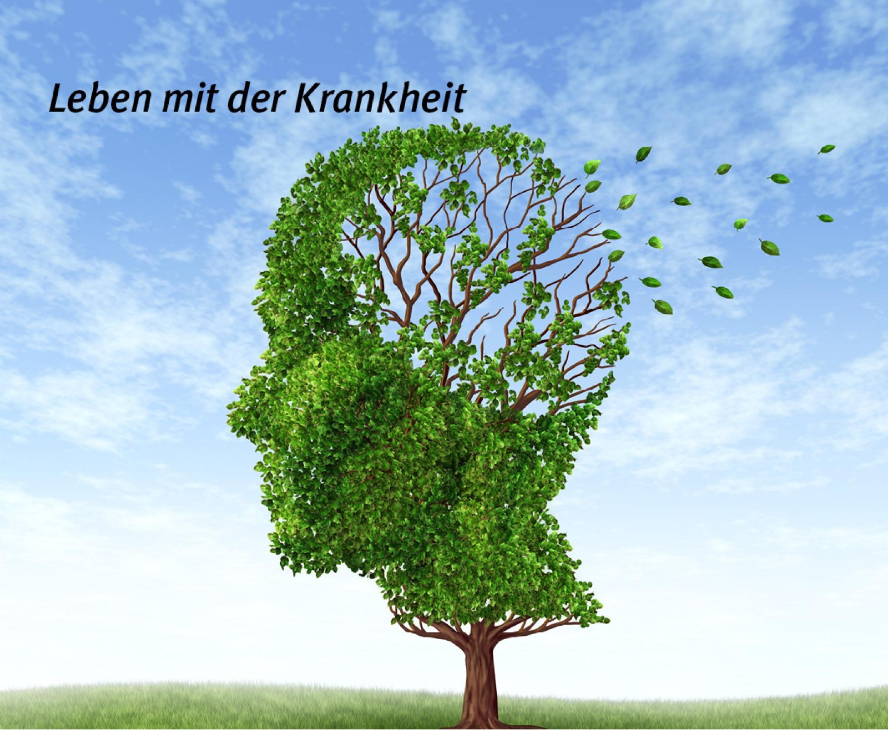 Обложка книги «Leben mit der Krankheit»