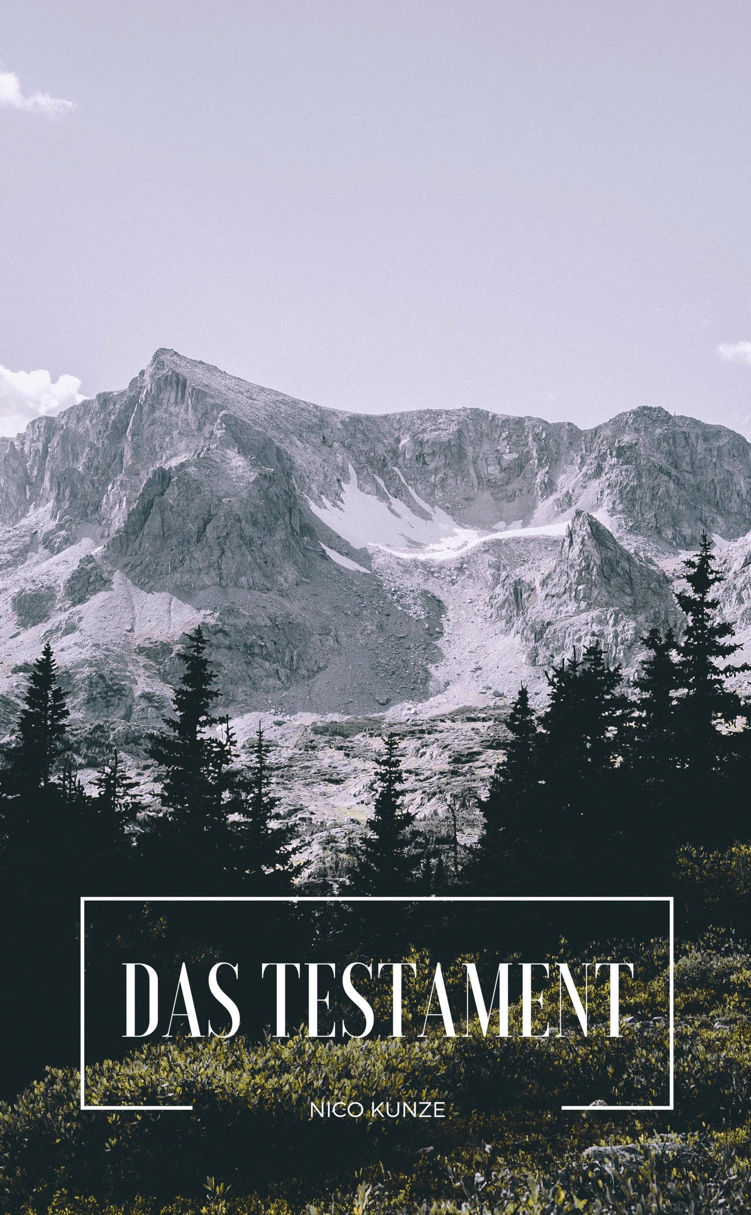 Обложка книги «Das Testament»