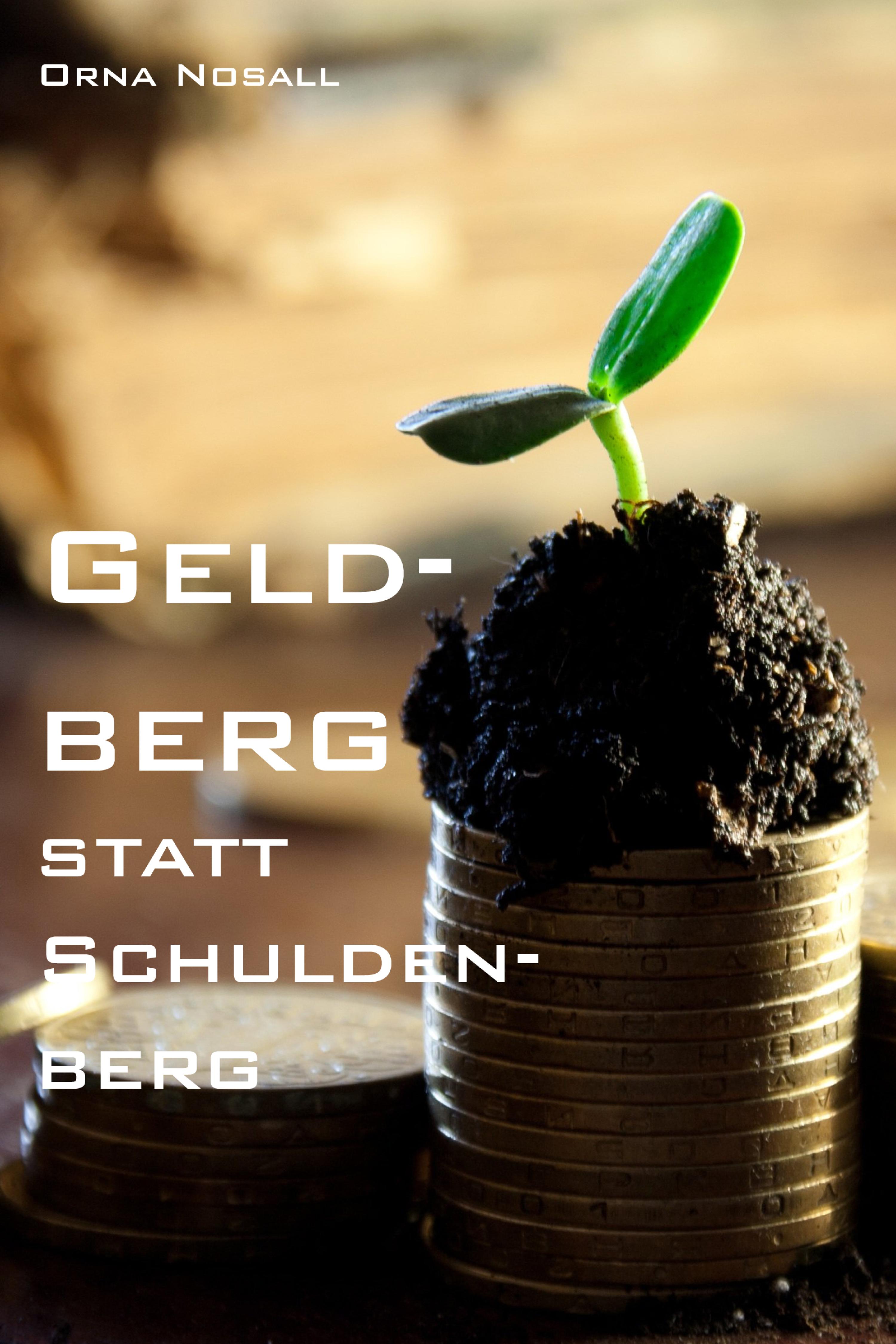 Обложка книги «Geldberg statt Schuldenberg»