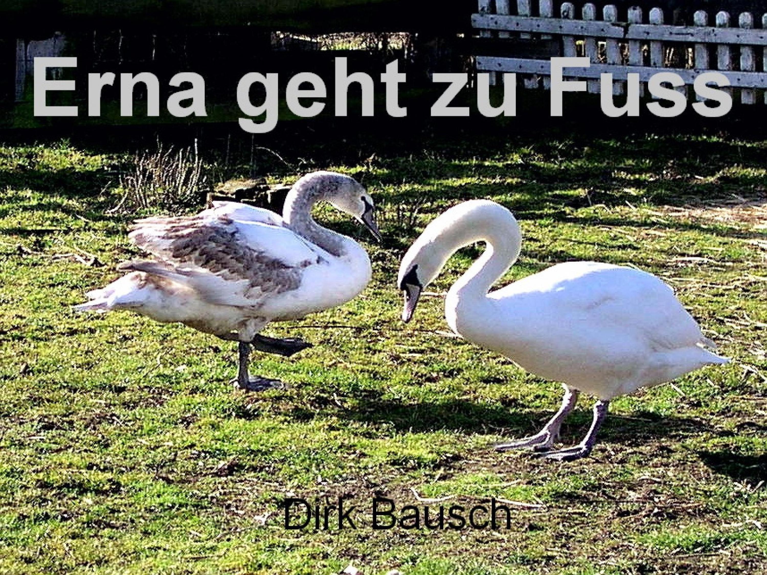 Обложка книги «Erna geht zu Fuss»