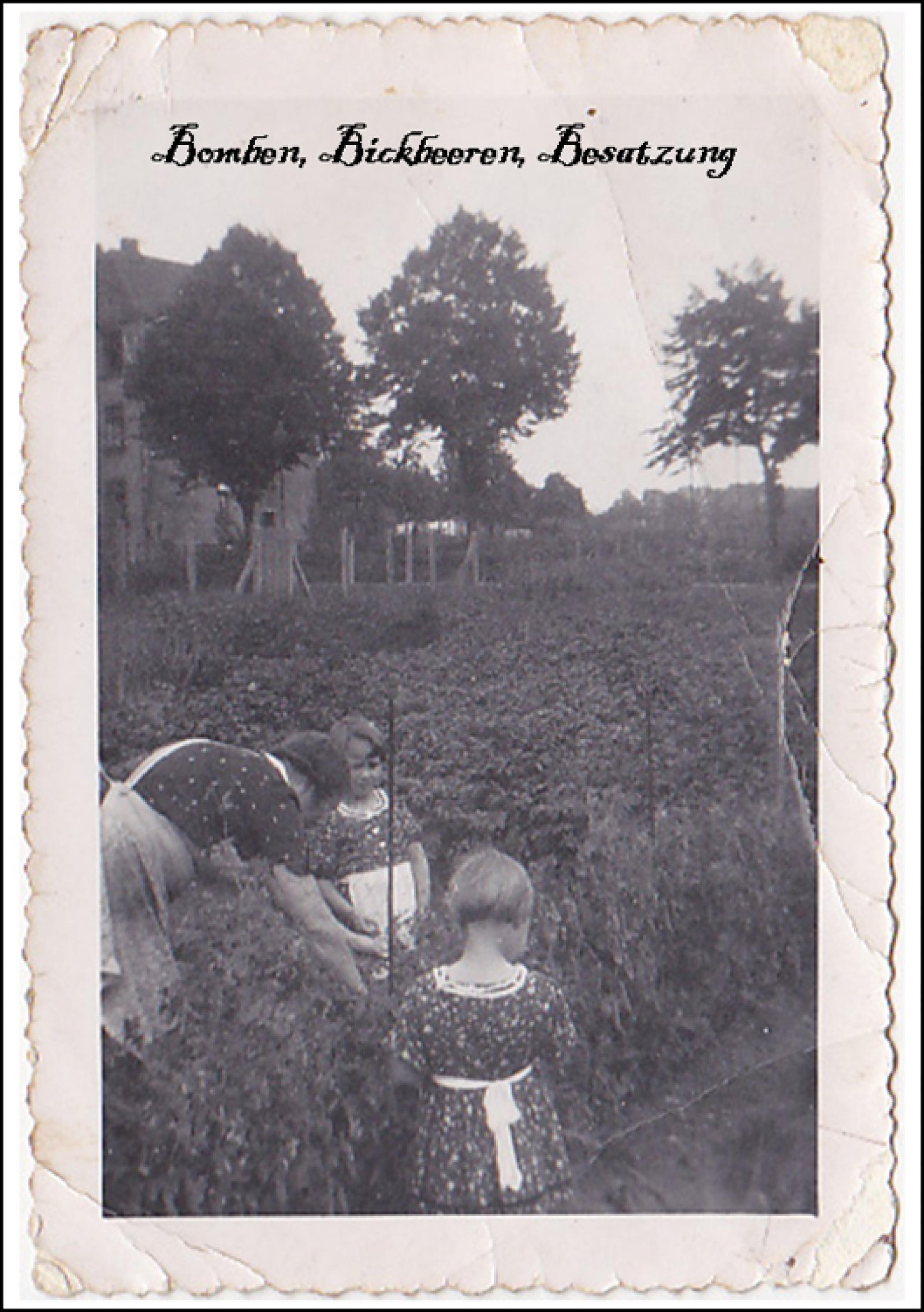 Обложка книги «Bomben, Bickbeeren, Besatzung»