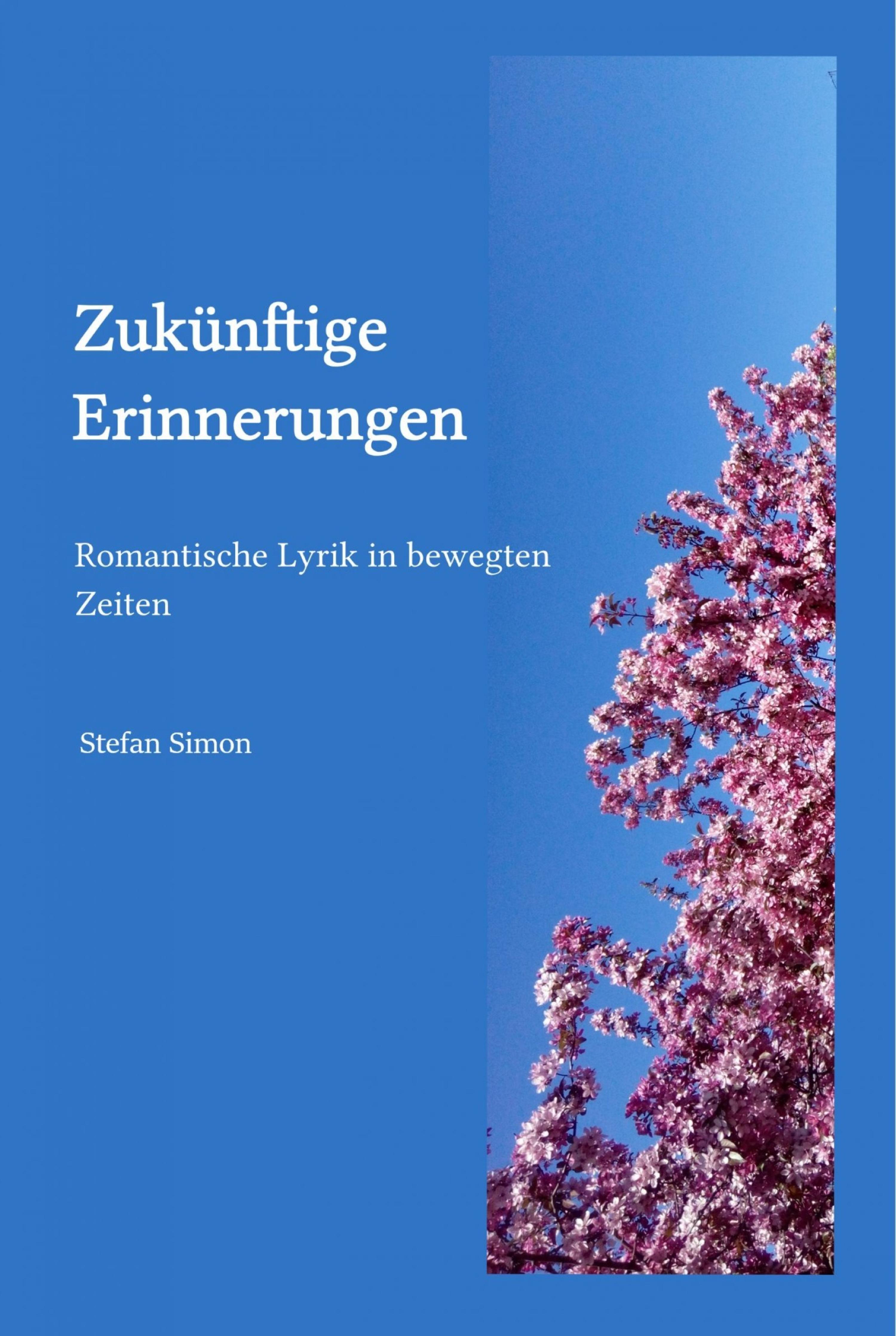Обложка книги «Zukünftige Erinnerungen»