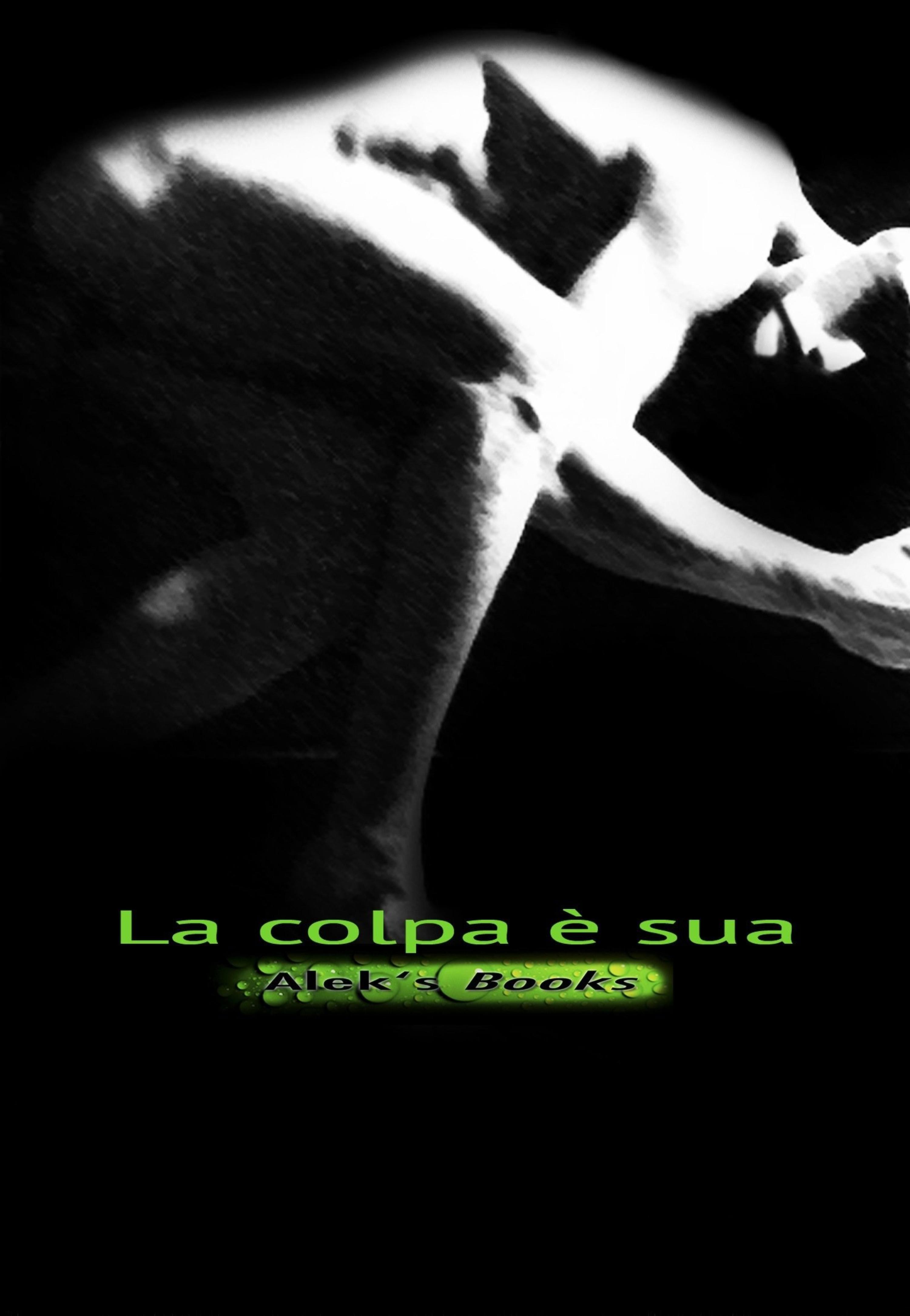 Обложка книги «La colpa è sua»