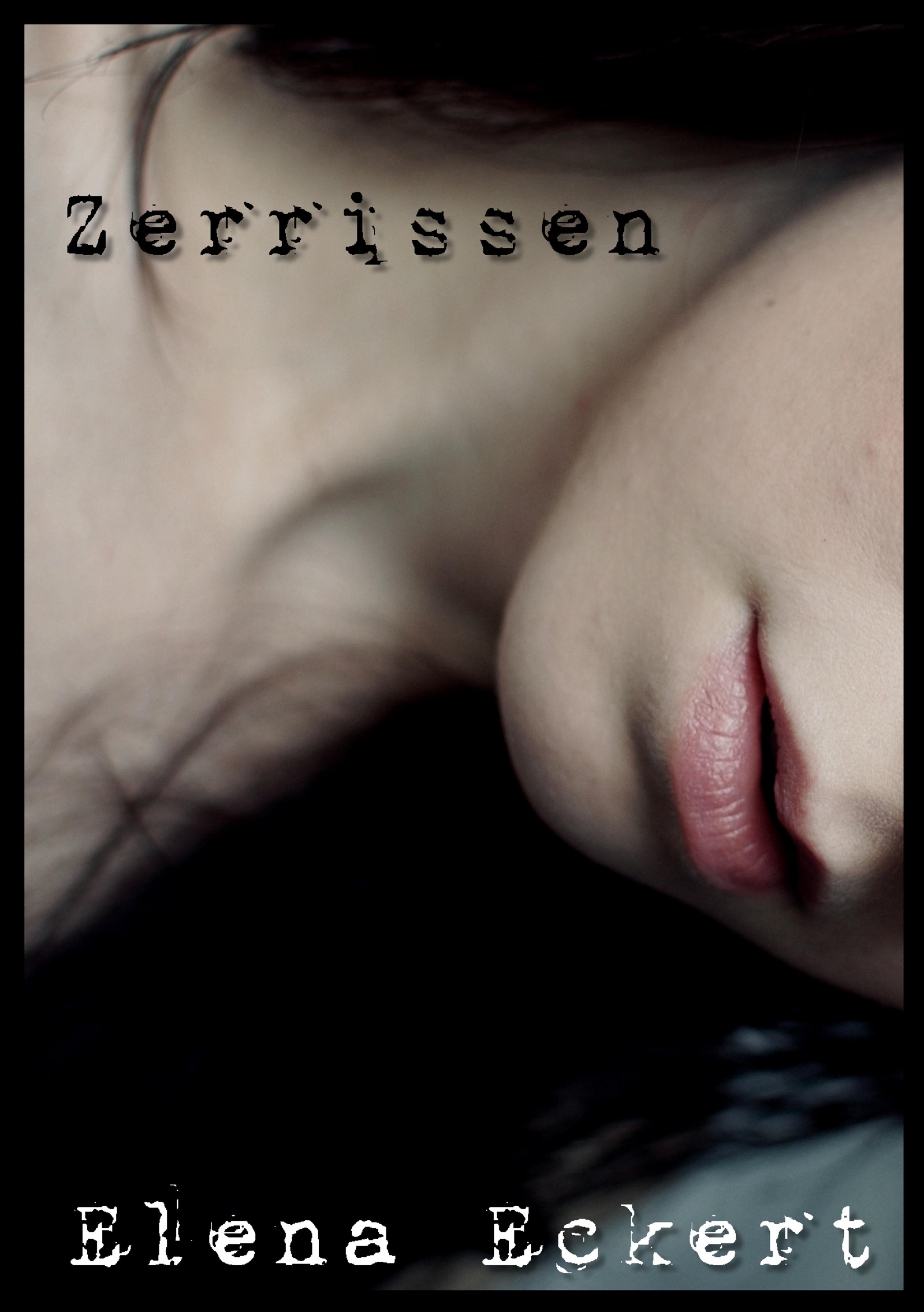 Обложка книги «Zerrissen»
