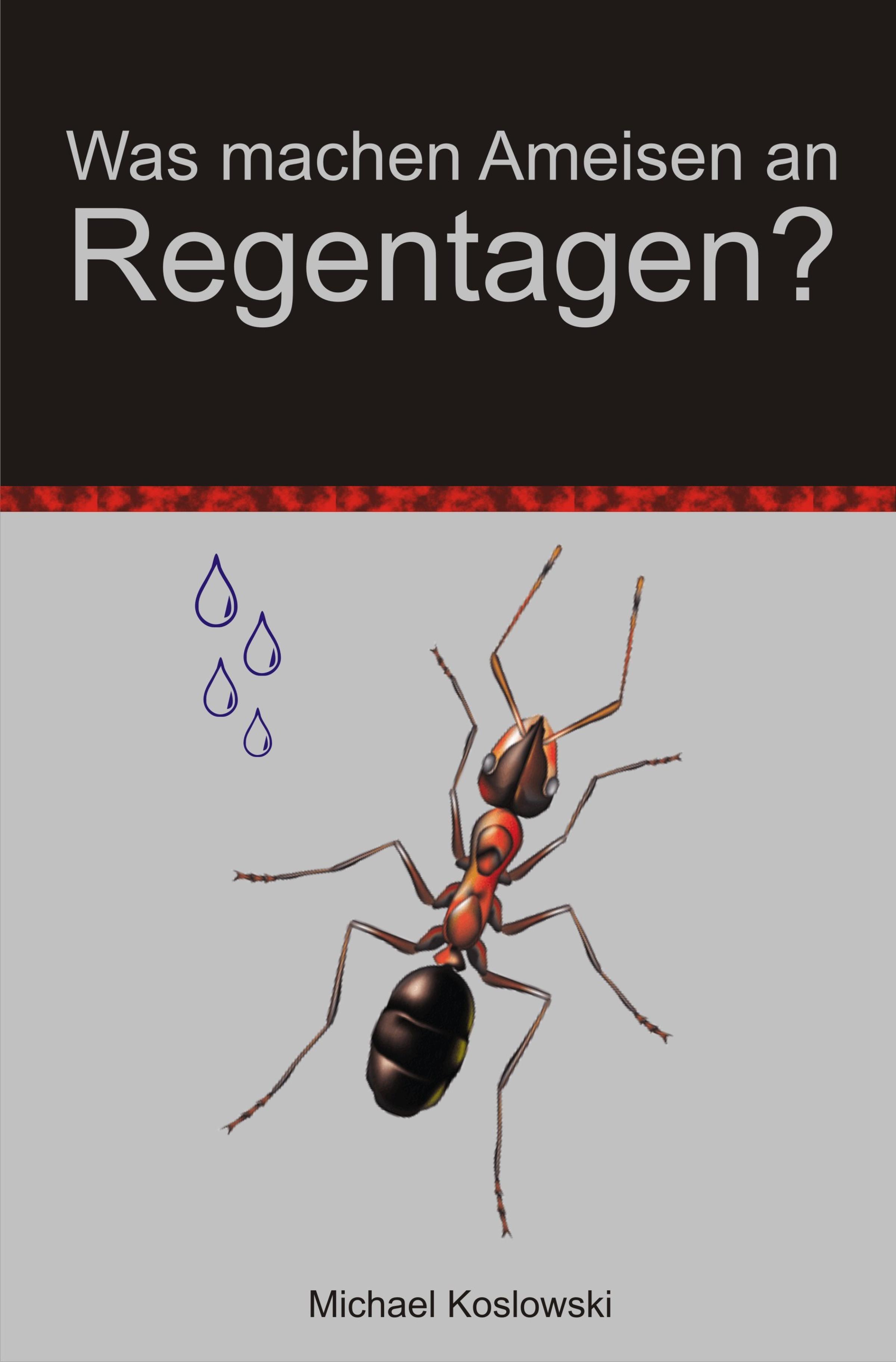 Обложка книги «Was machen Ameisen an Regentagen ?»