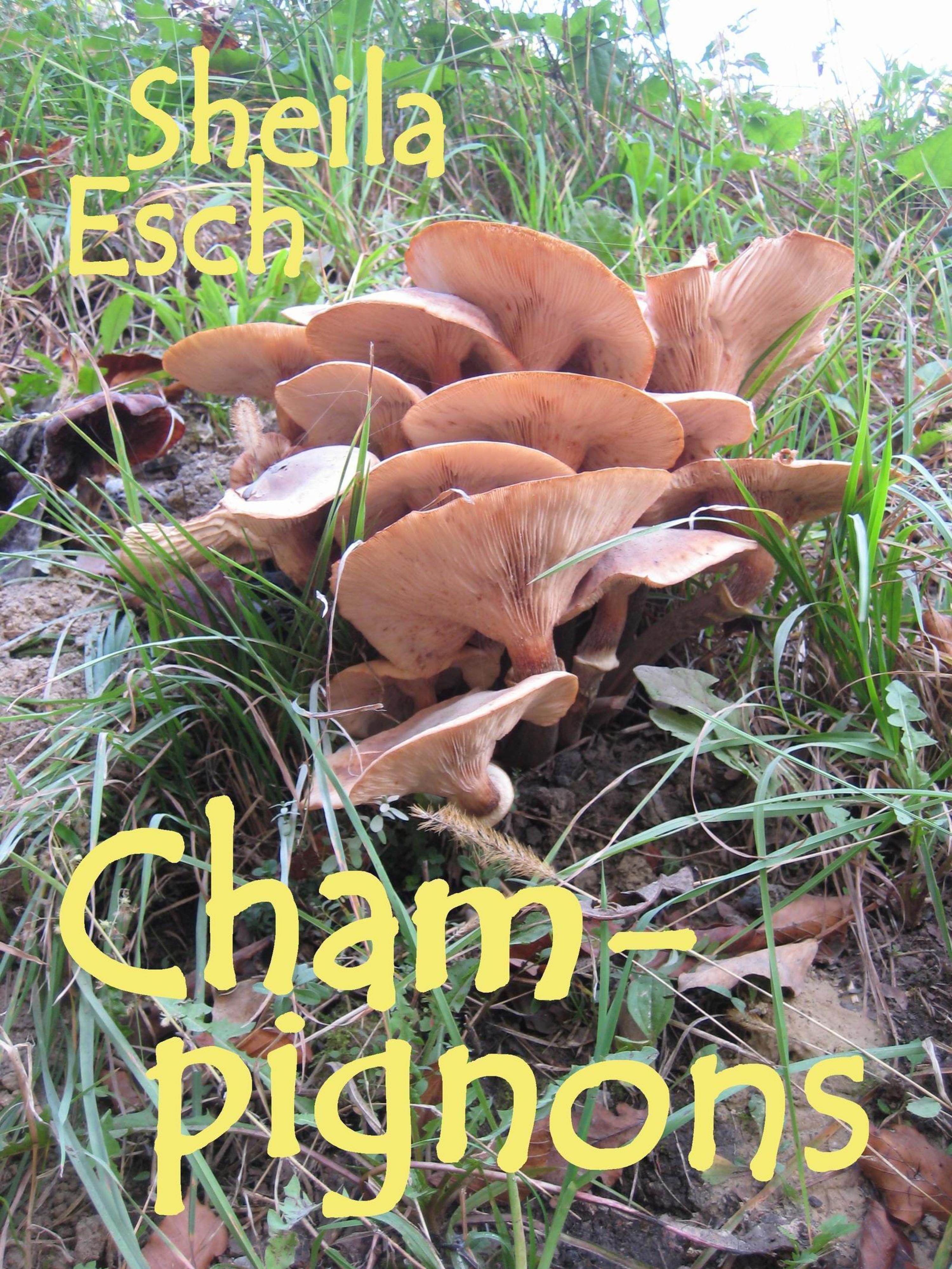 Обложка книги «Champignons»