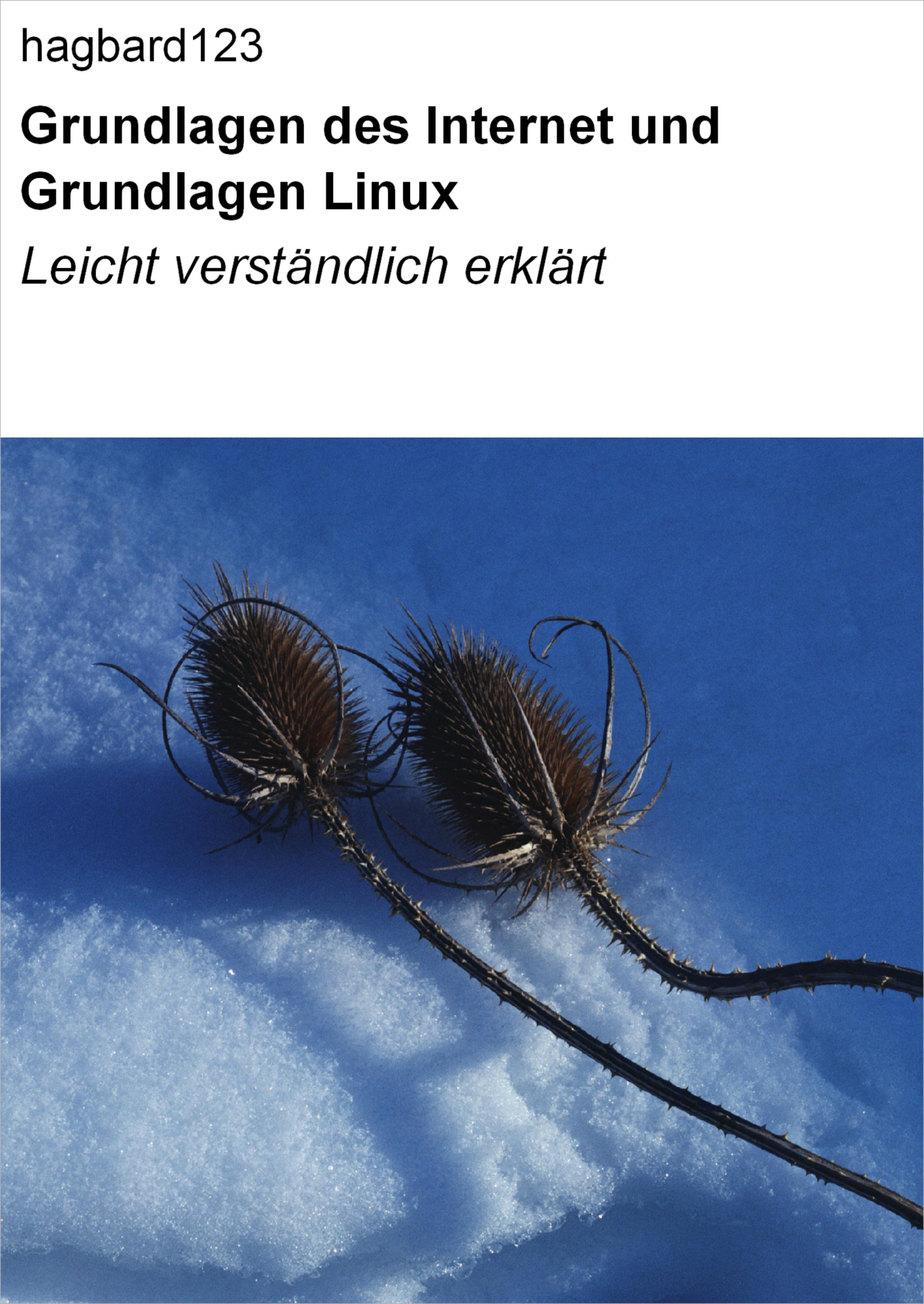 Обложка книги «Grundlagen des Internet und Grundlagen Linux»
