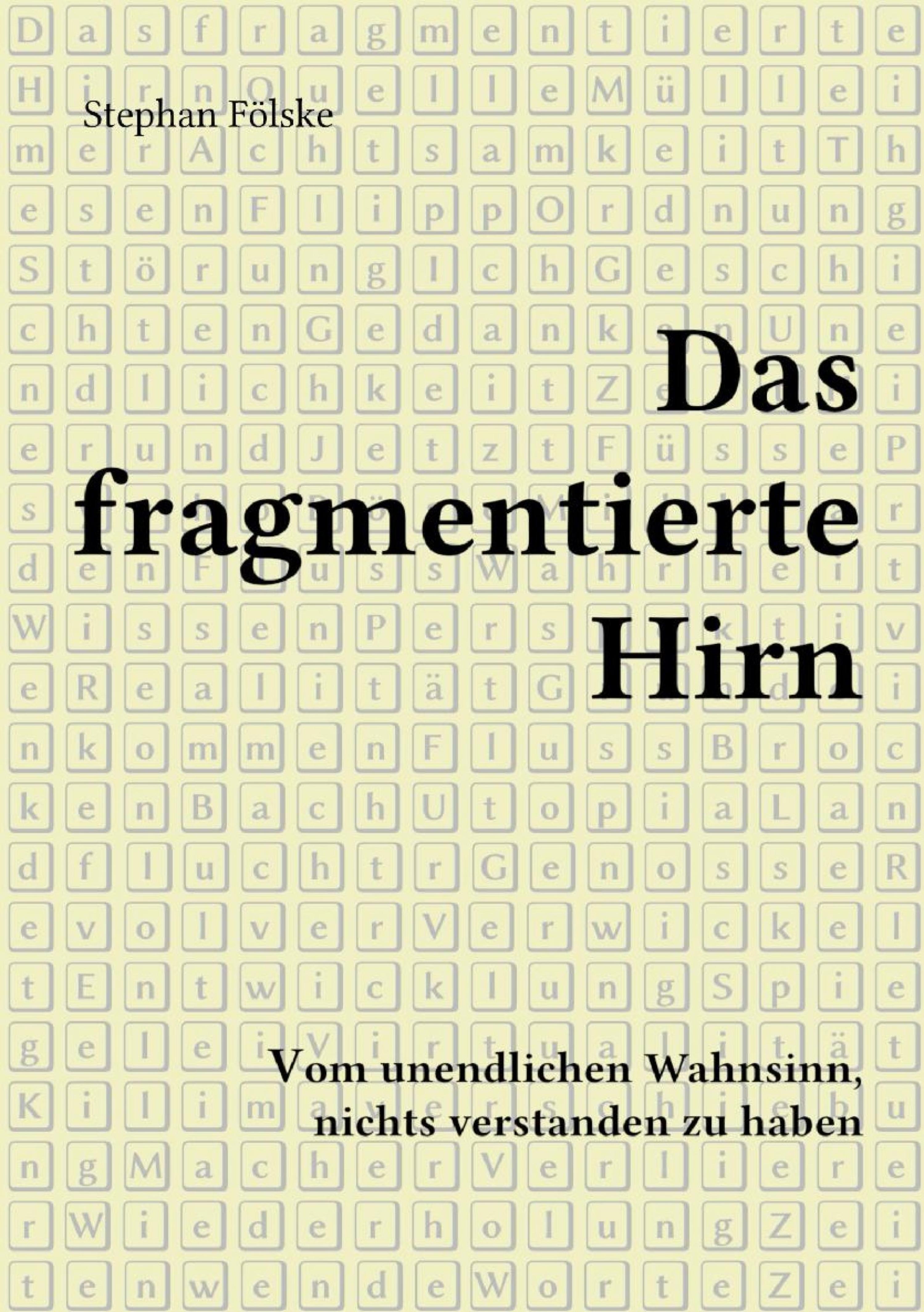 Обложка книги «Das fragmentierte Hirn»