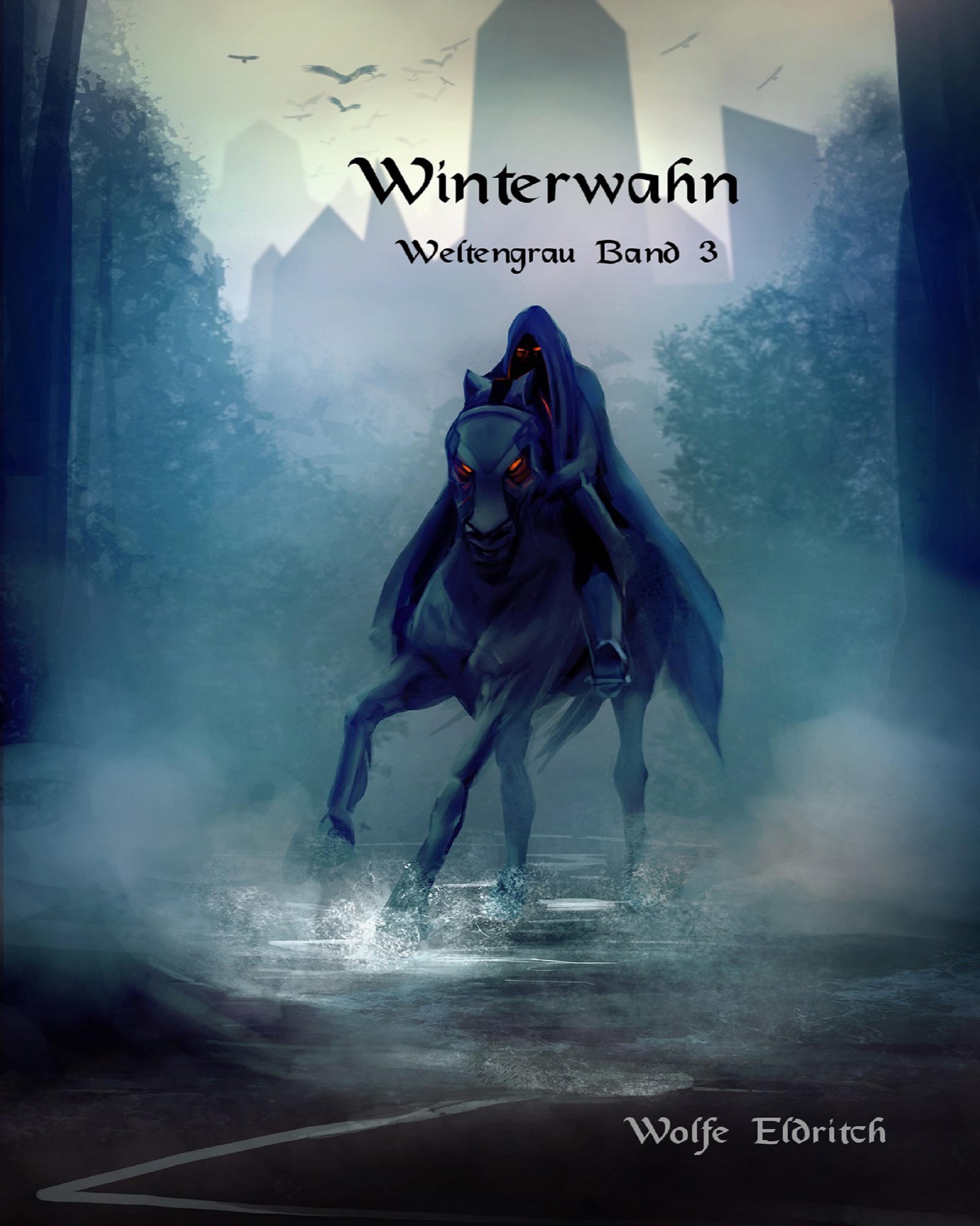 Обложка книги «Winterwahn»