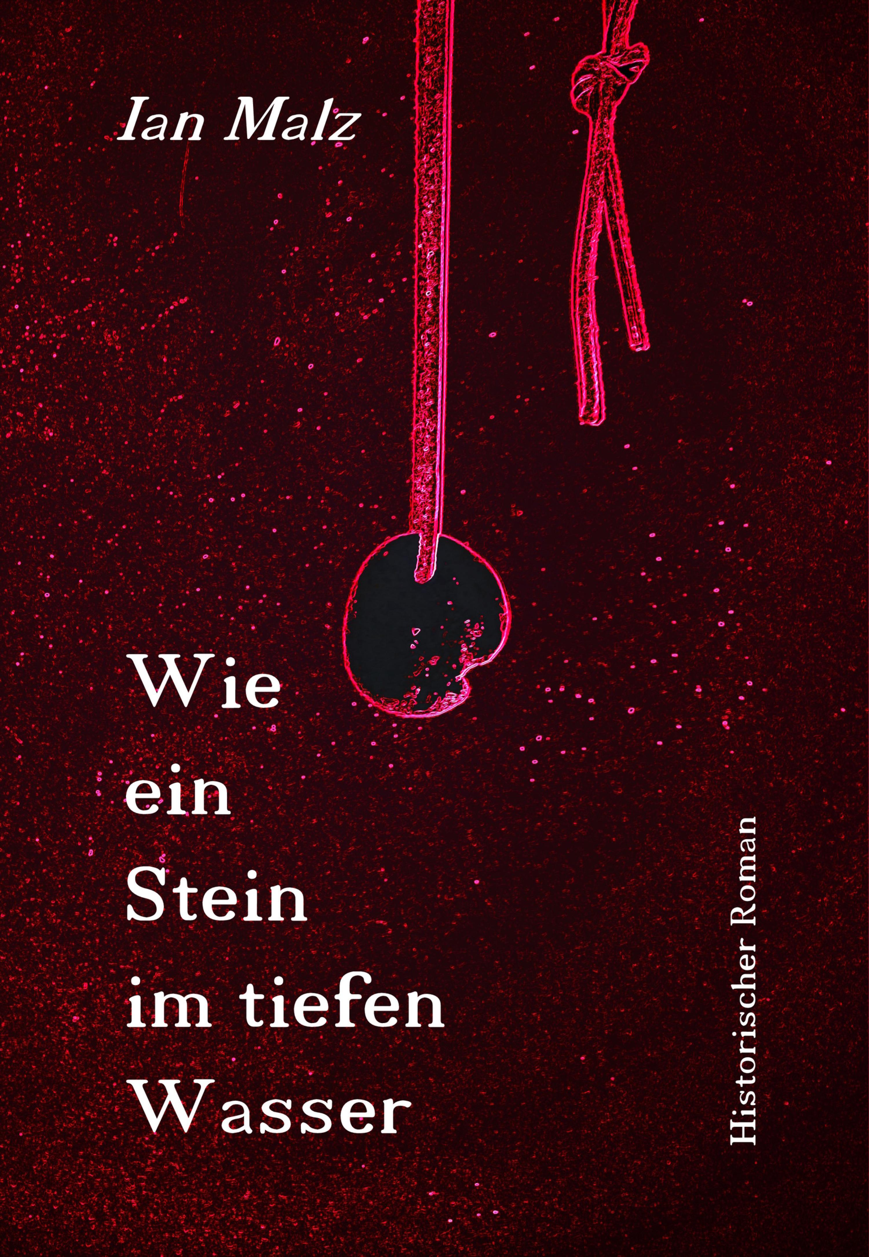 Обложка книги «Wie ein Stein im tiefen Wasser»