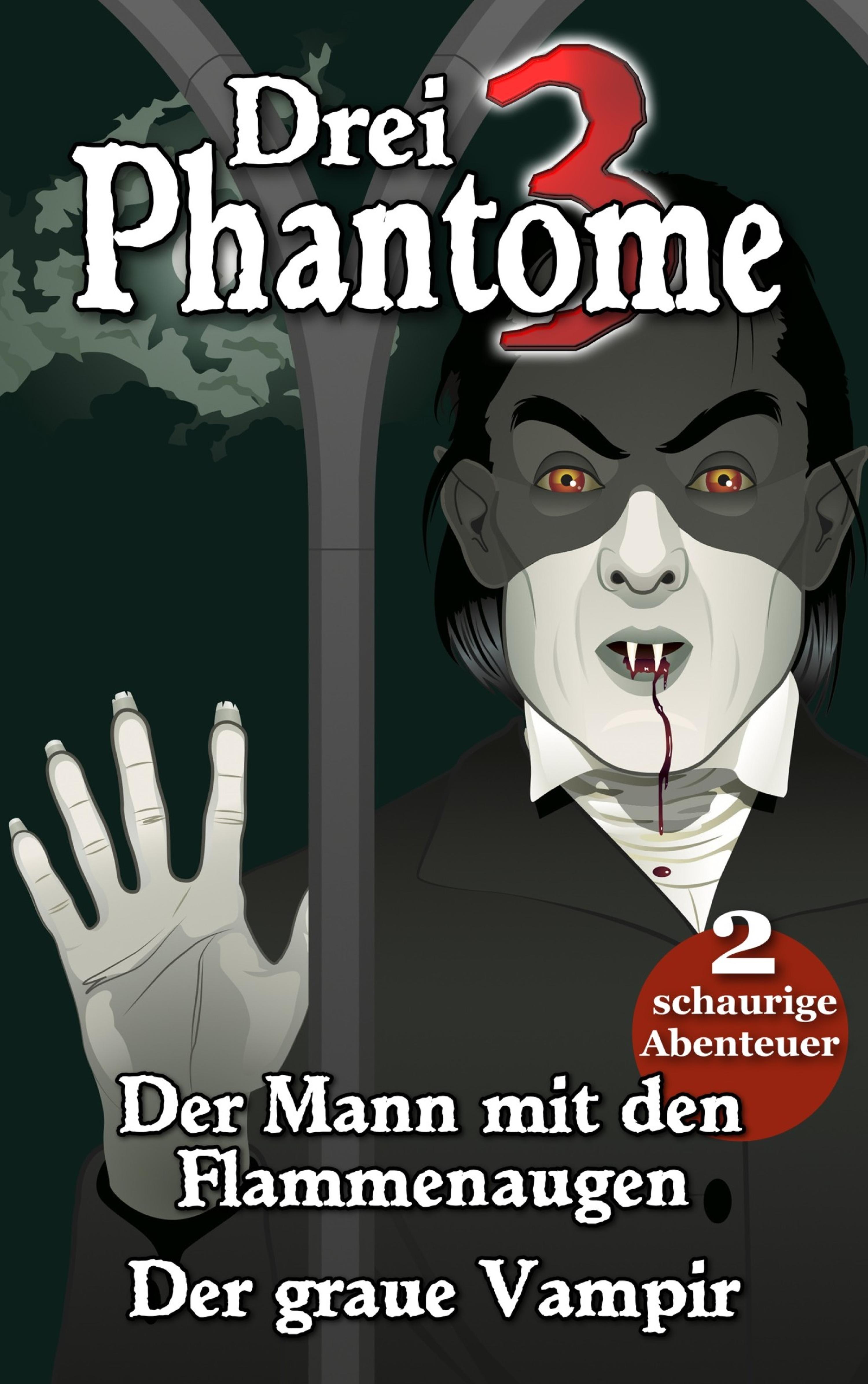 Обложка книги «Drei Phantome 1 - Gänsehaut für Kids»