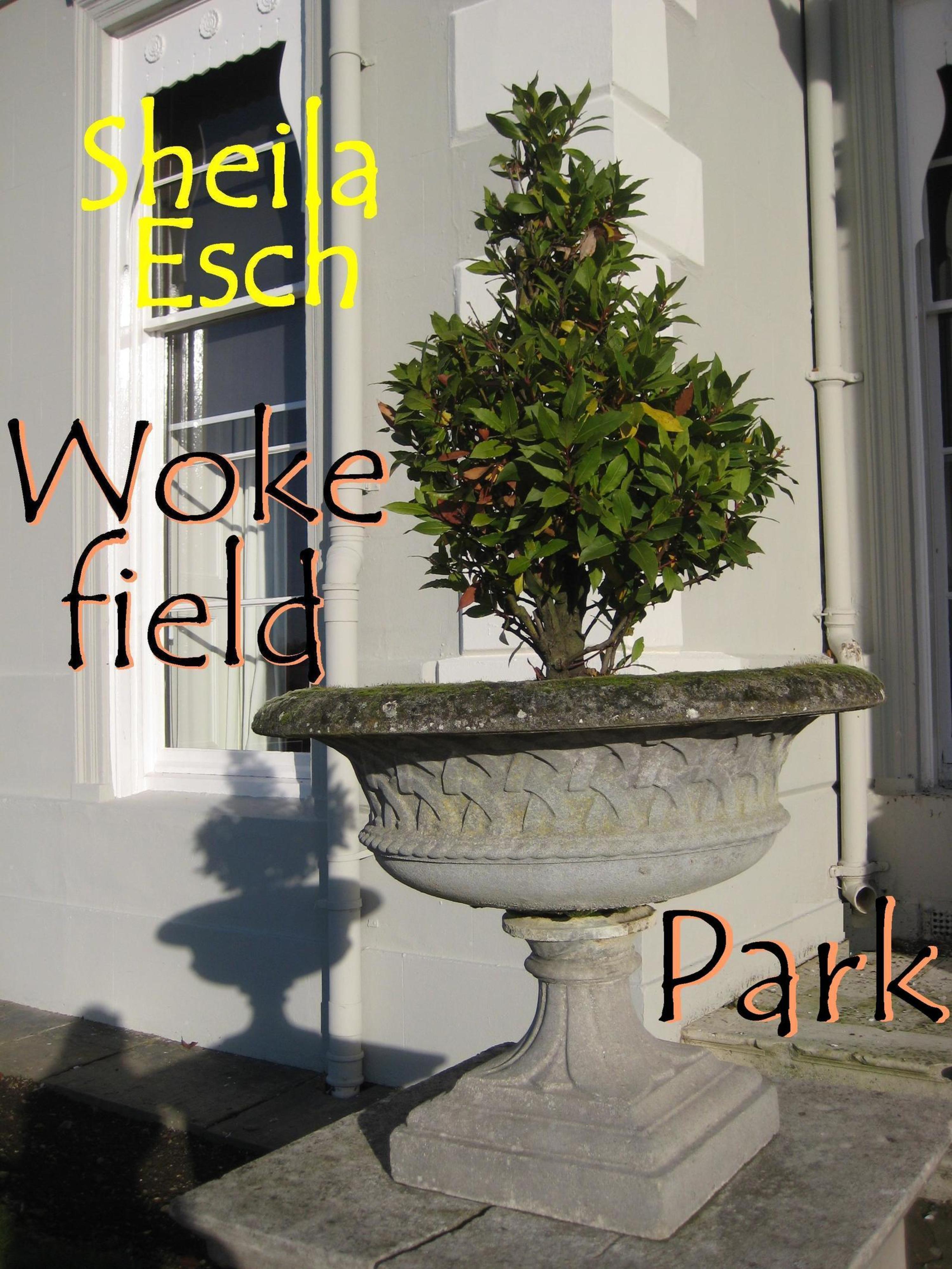 Обложка книги «Wokefield Park»