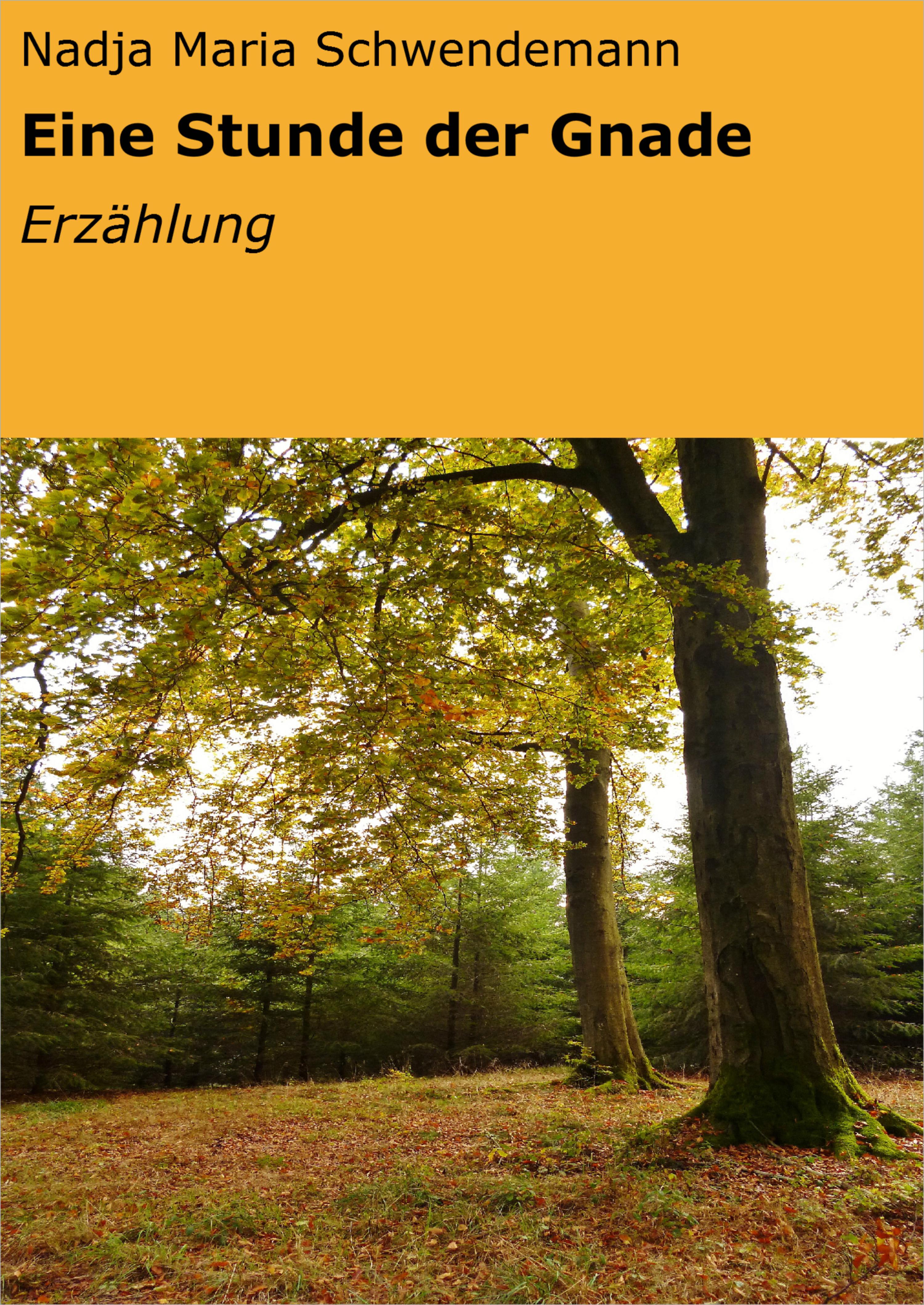 Обложка книги «Eine Stunde der Gnade»