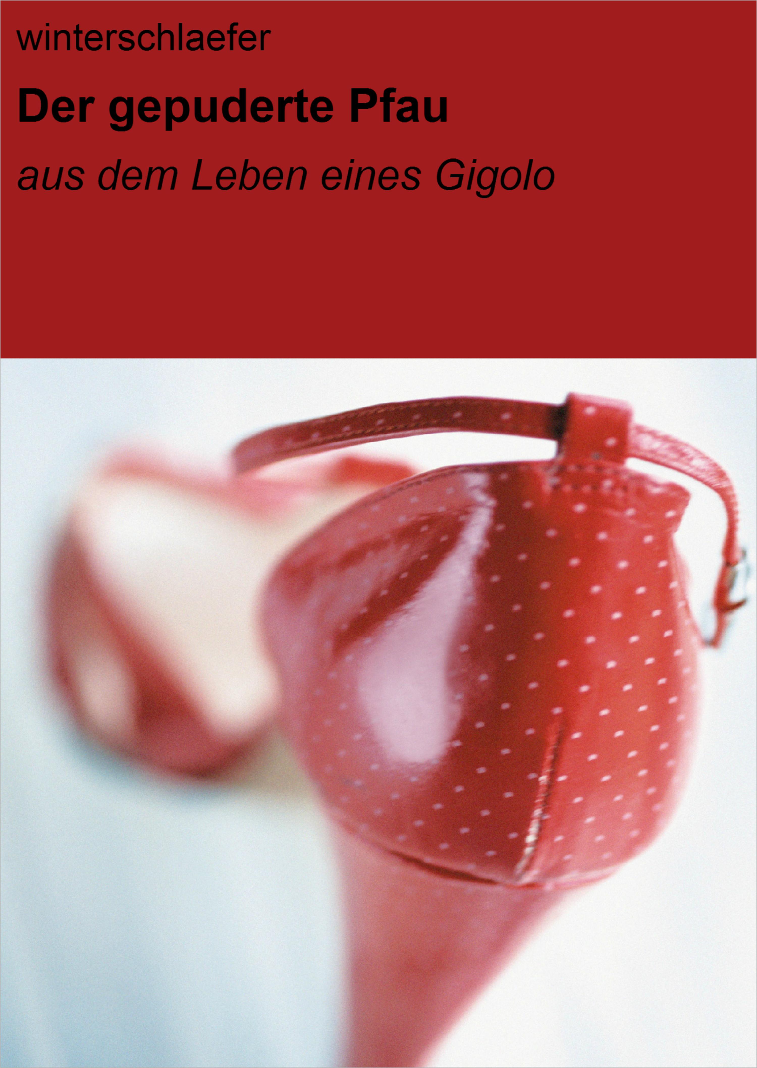 Обложка книги «Der gepuderte Pfau»