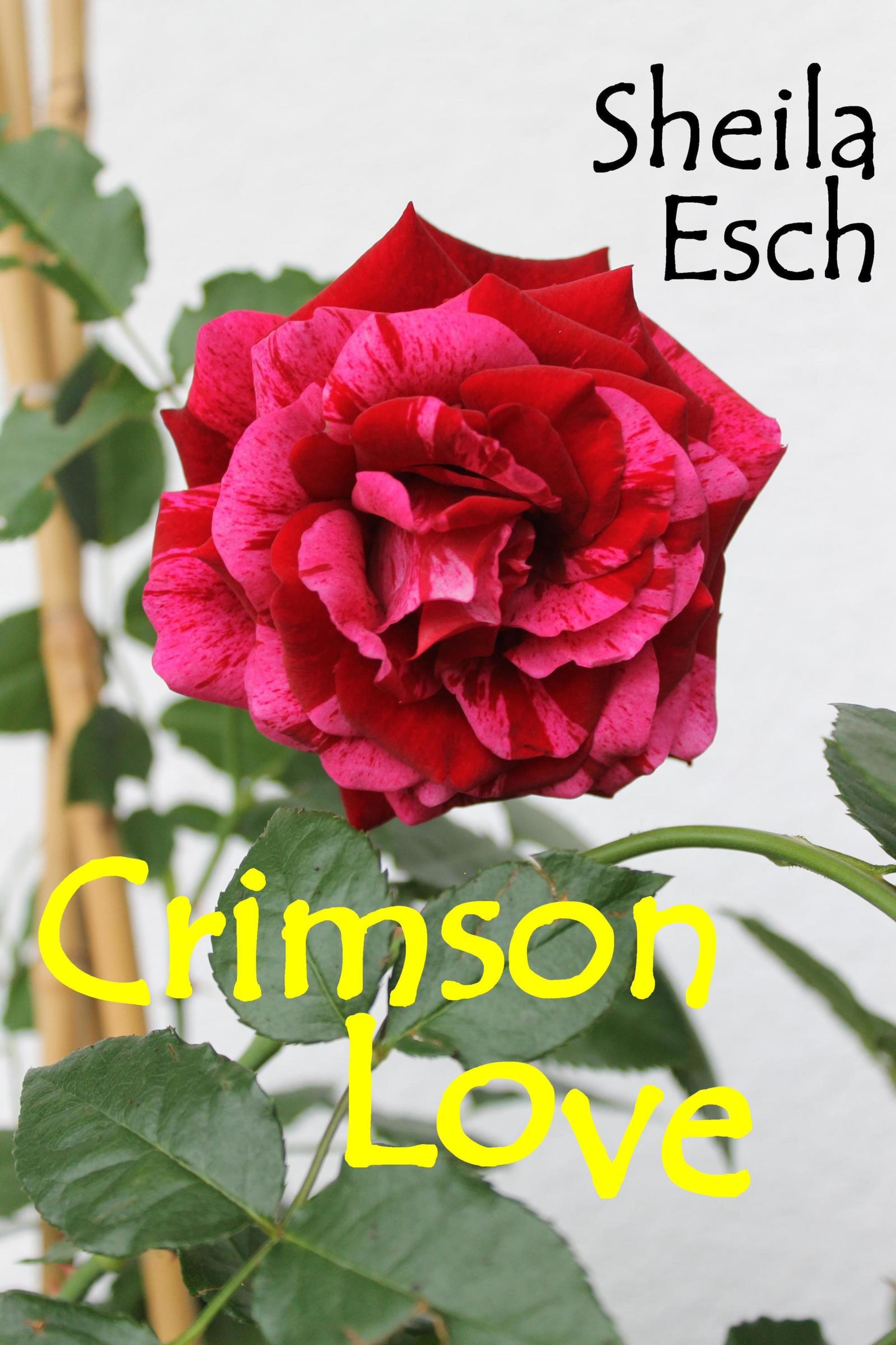 Обложка книги «Crimson Love»